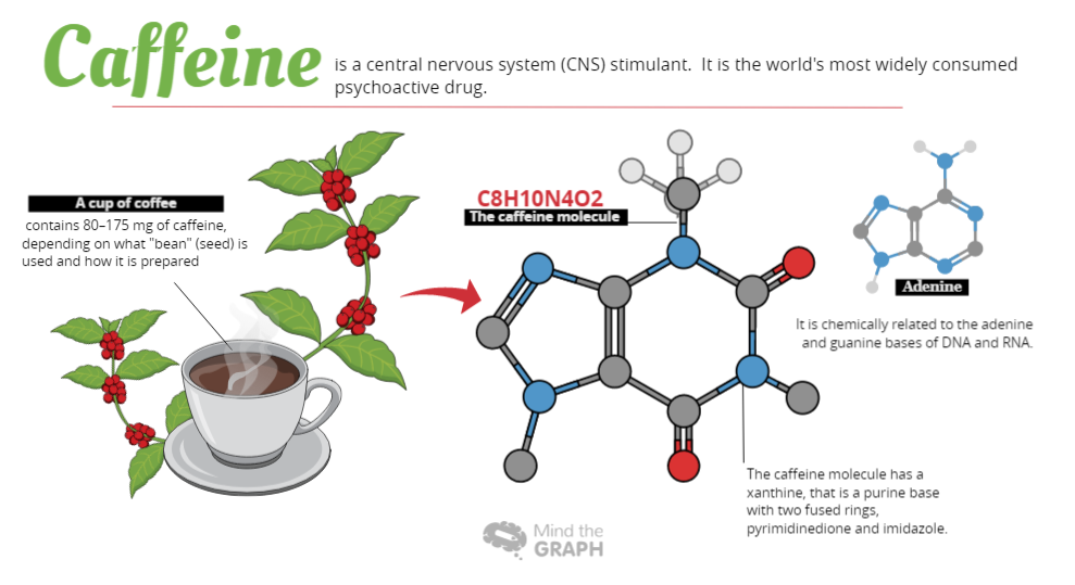 Caffeine: The science behind coffee - Mind the Graph Blog