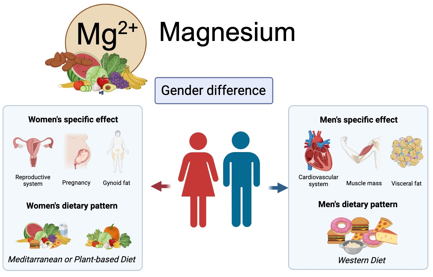What Foods Are Rich In Magnesium? Nutrition Guide And Benefits