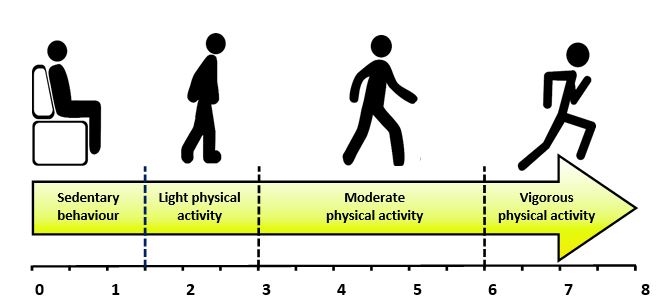 Sedentary behavior and physical inactivity: how far are we in the differentiation of these terms and their implications in patients with COPD?