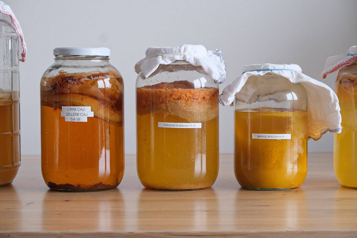 How to make jun tea kombucha (with kombucha SCOBY)