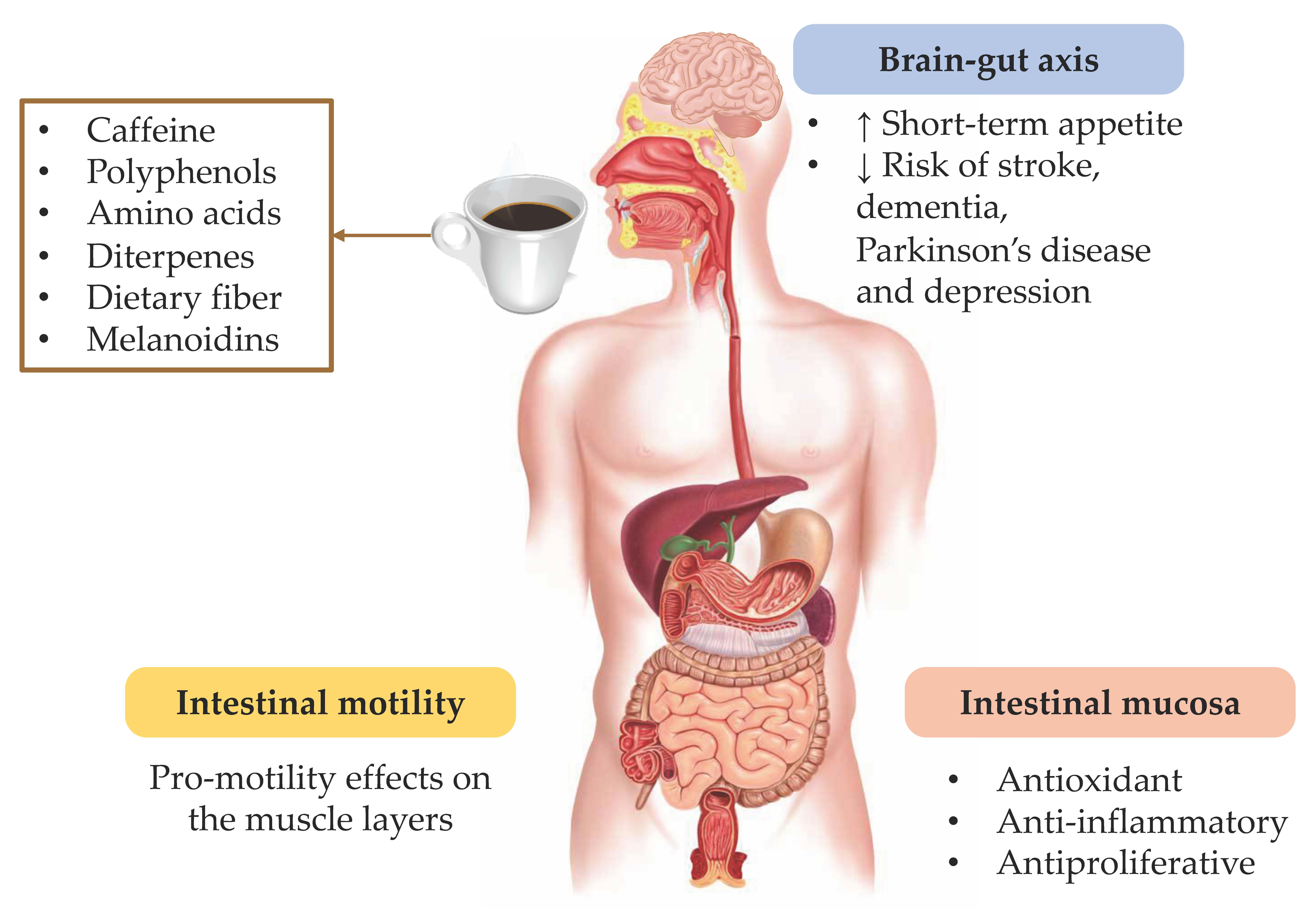 What Does Coffee Have To Offer When It Comes to Your Health?