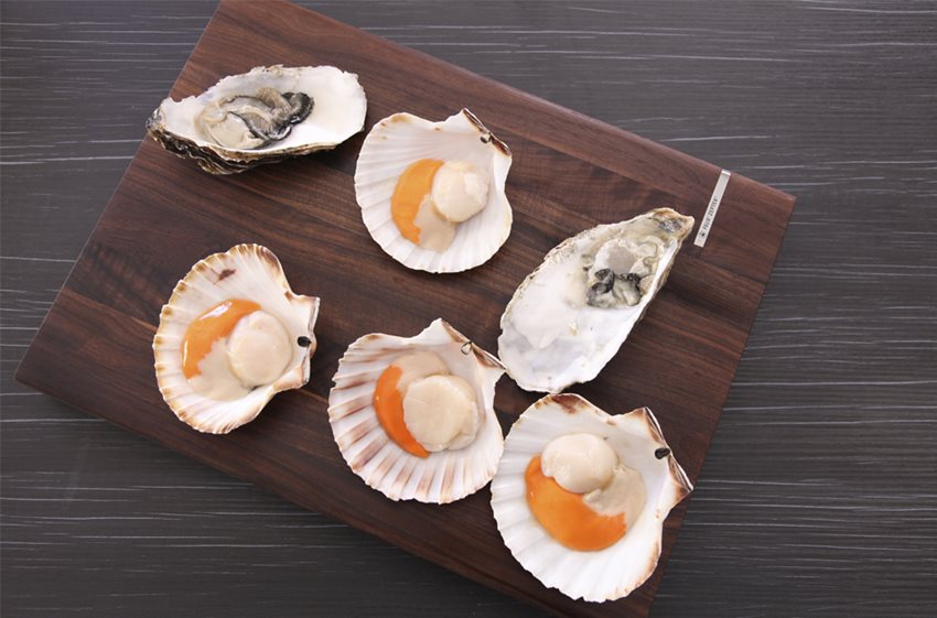 Steamed Oysters and Scallops - Zepter Shop