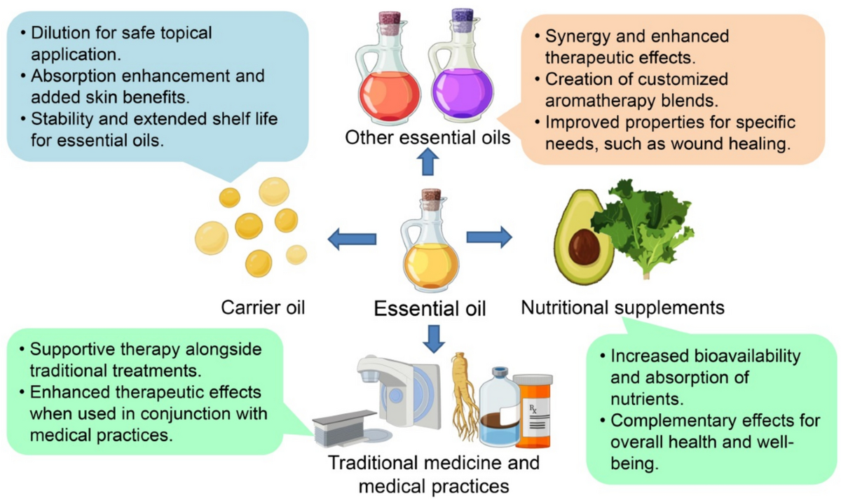 Essential oils and plant-derived bioactive compounds: a comprehensive review of their therapeutic potential, mechanisms of action, and advances in extraction technologies | Phytochemistry Reviews | Springer Nature Link