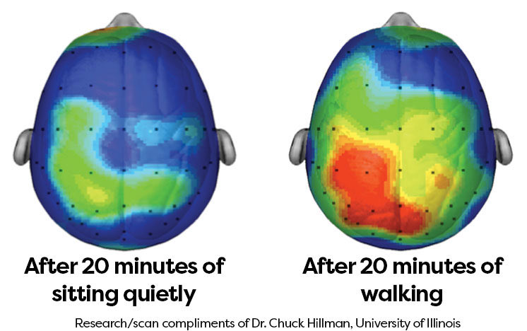 Go for a Walk to Boost Your Well-Being [VIDEO] - FixWillpower