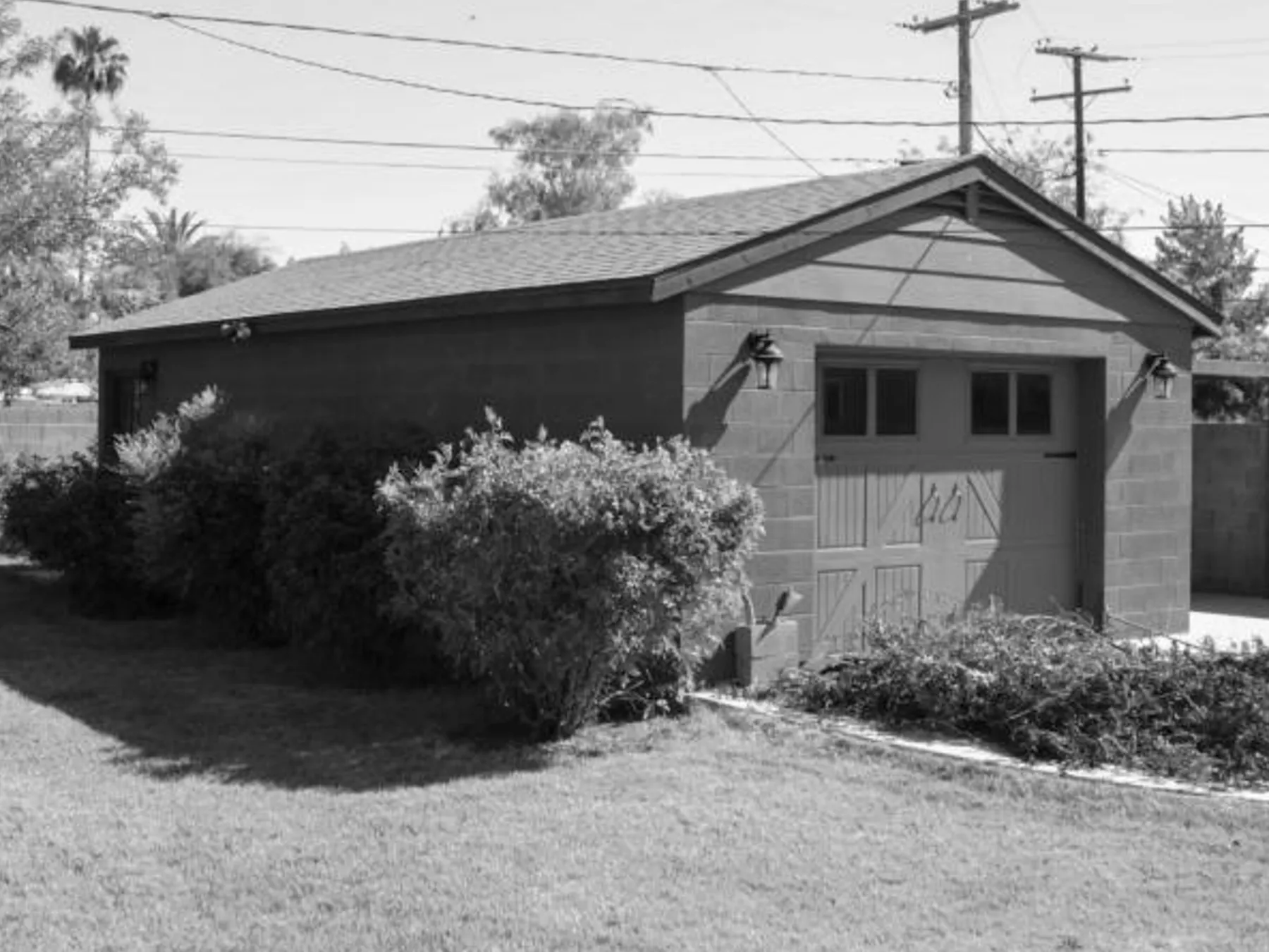 photo