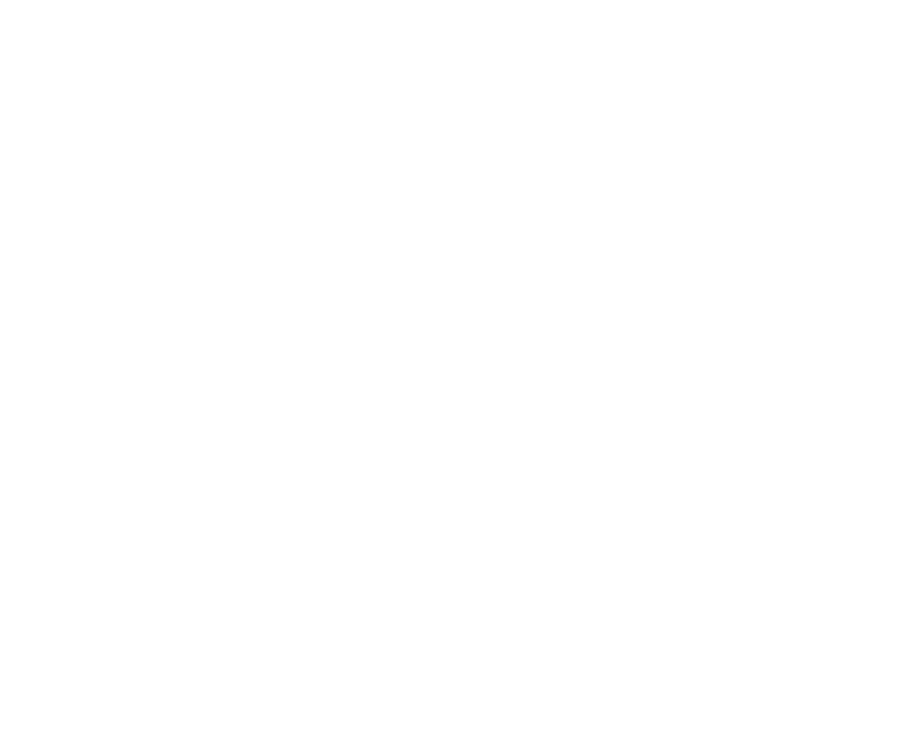 Logo BMI Leisure
