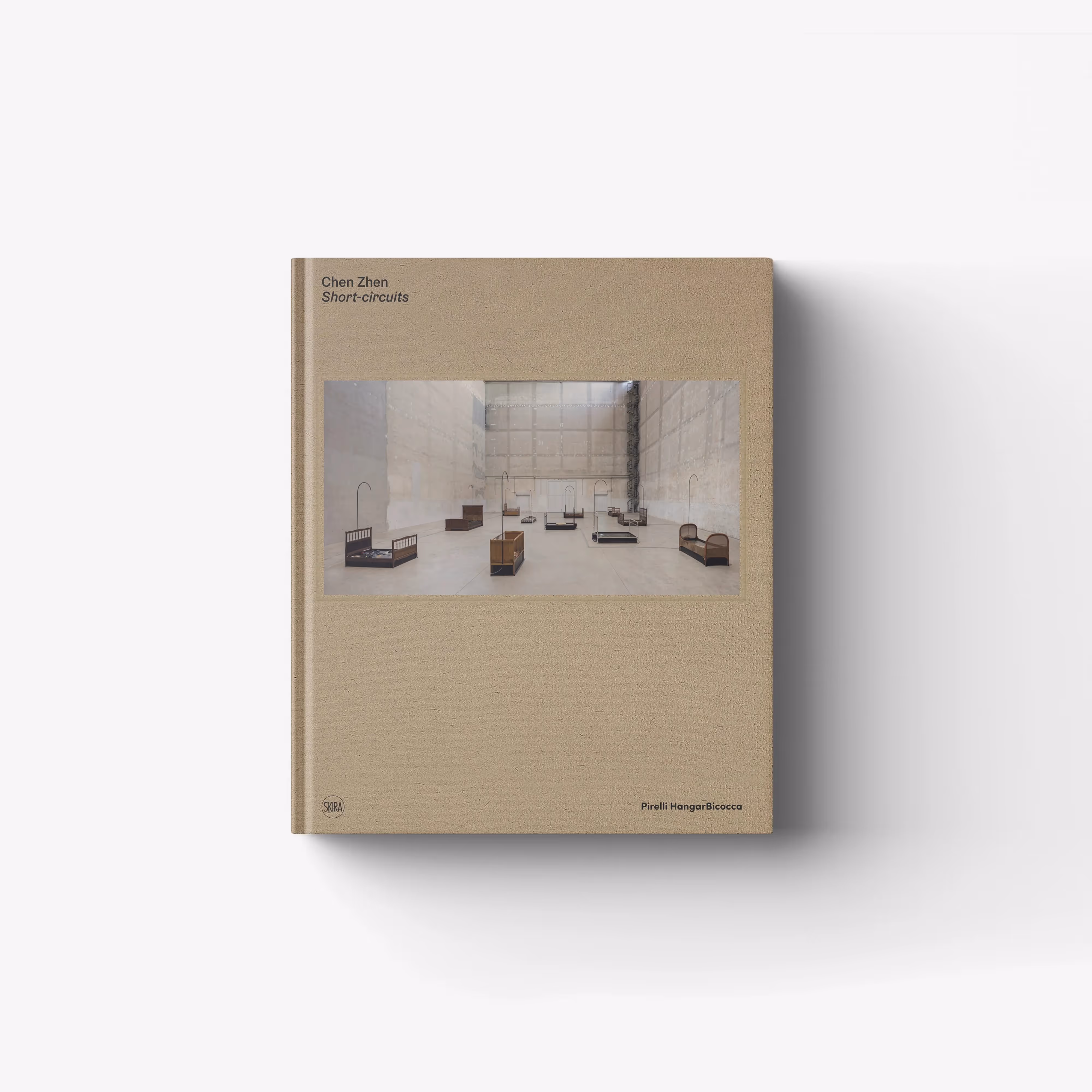 Chen Zhen. Short-circuits