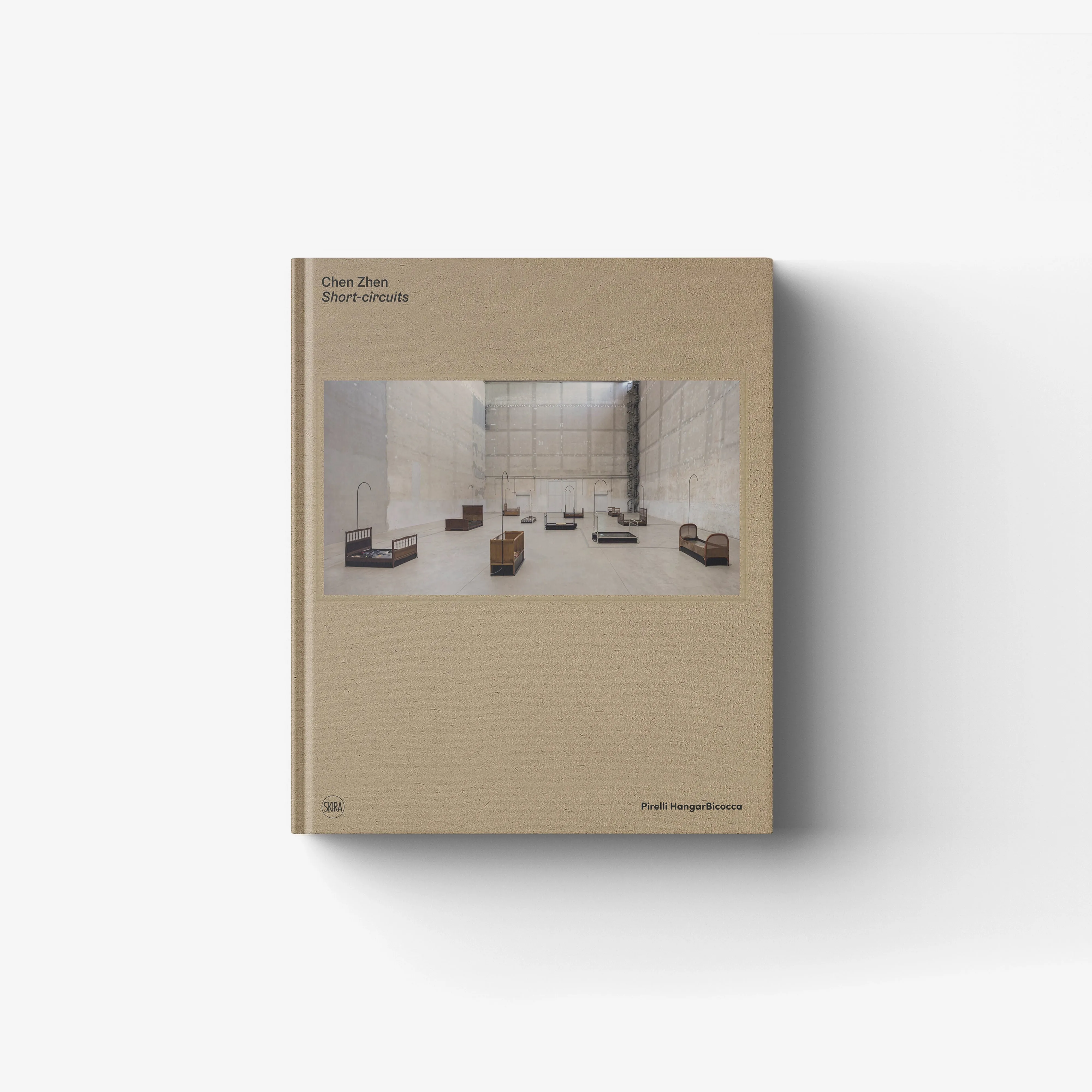 Chen Zhen. Short-circuits