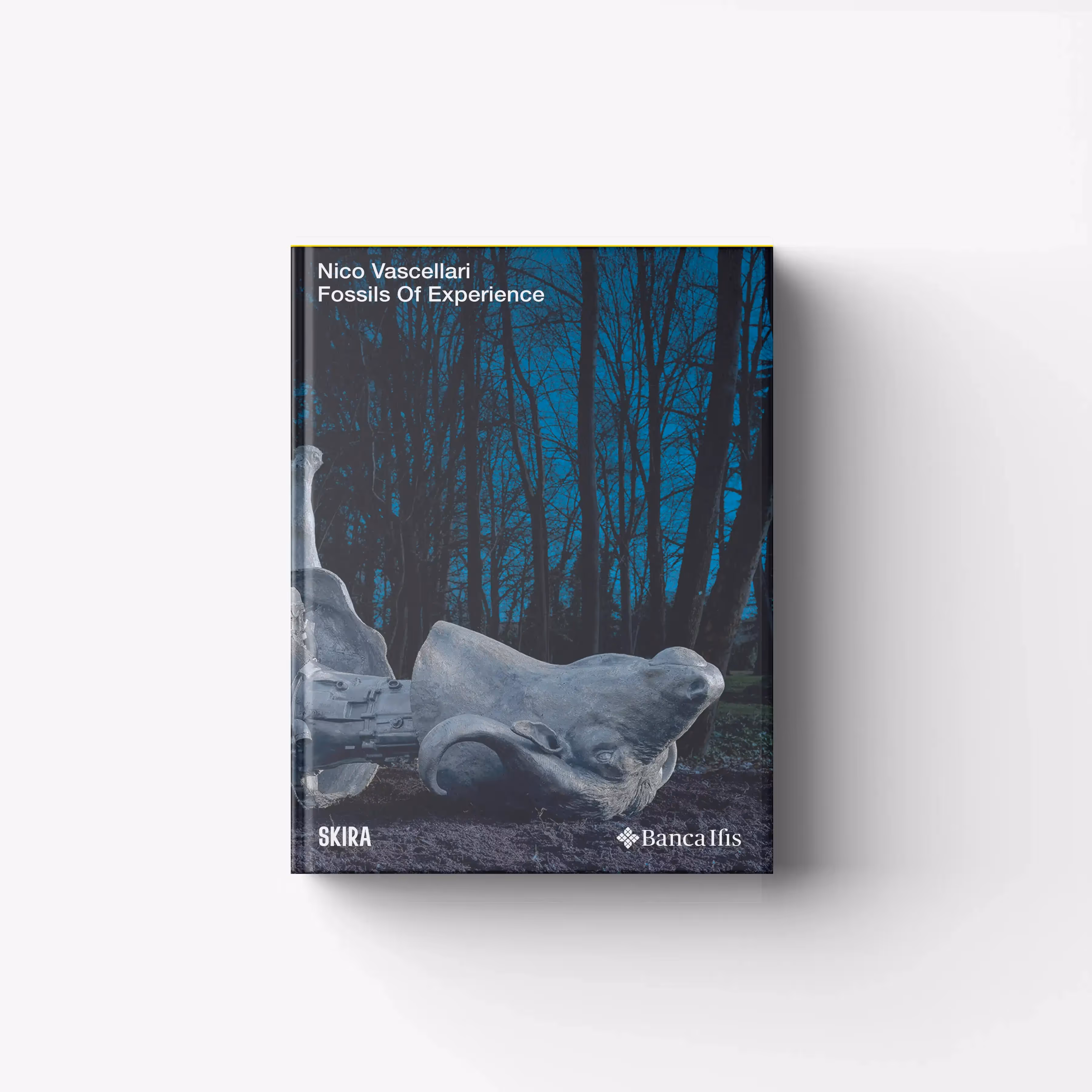 Nico Vascellari. Fossils of Experience