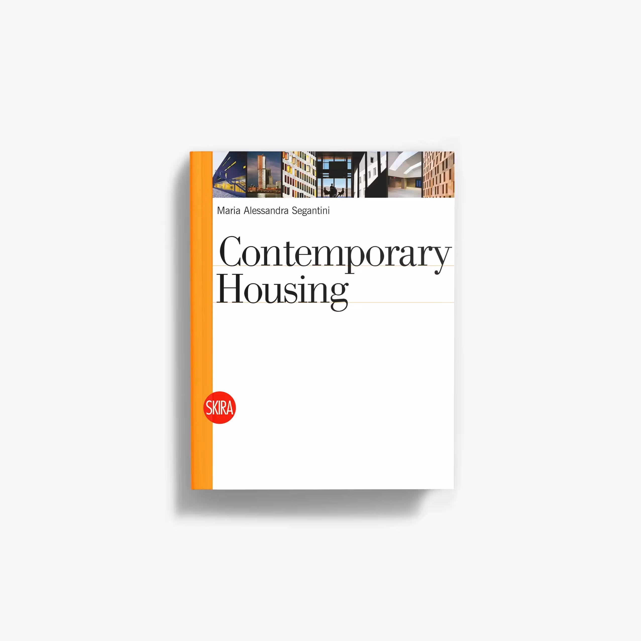 Contemporary Housing