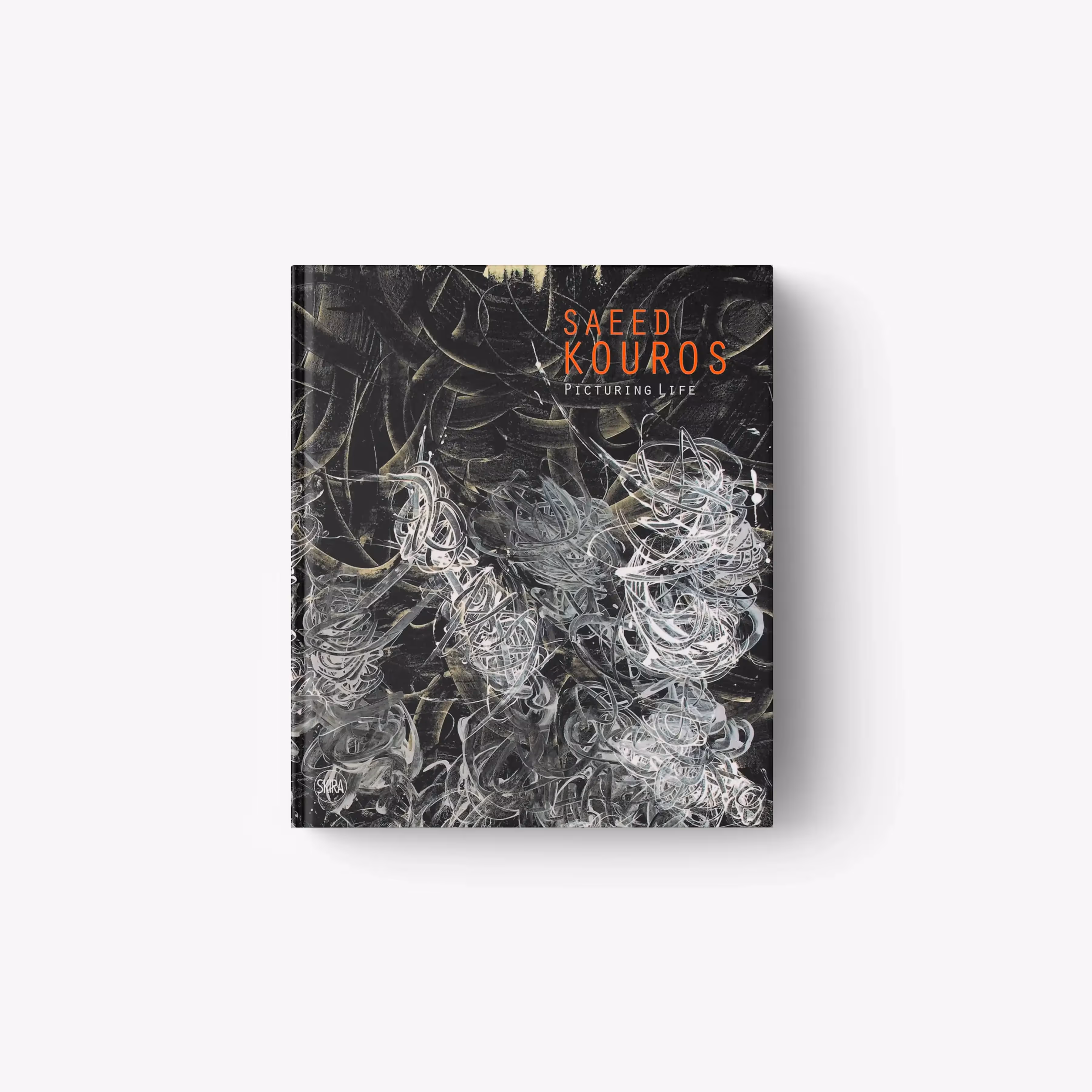 Saeed Kouros. Picturing Life