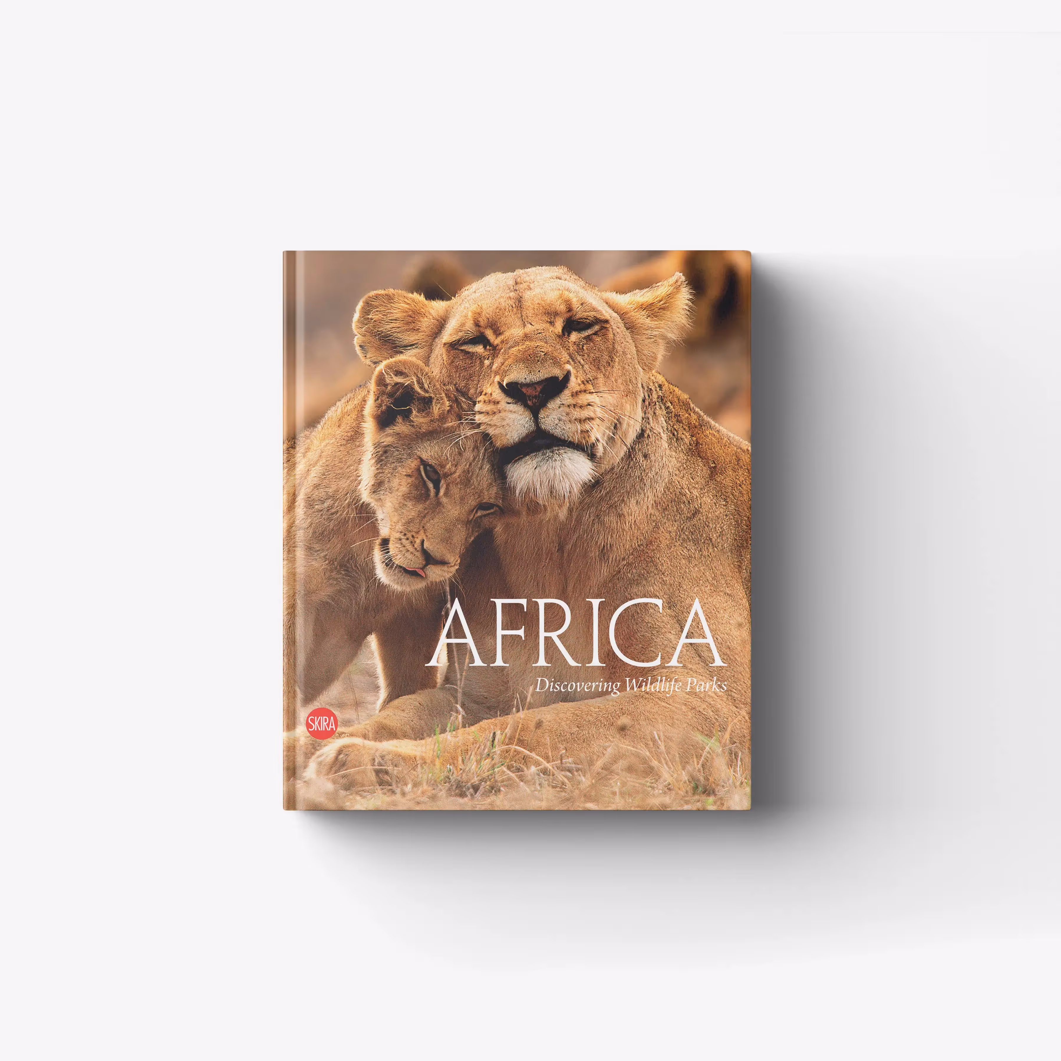 Africa. Discovering wildlife parks