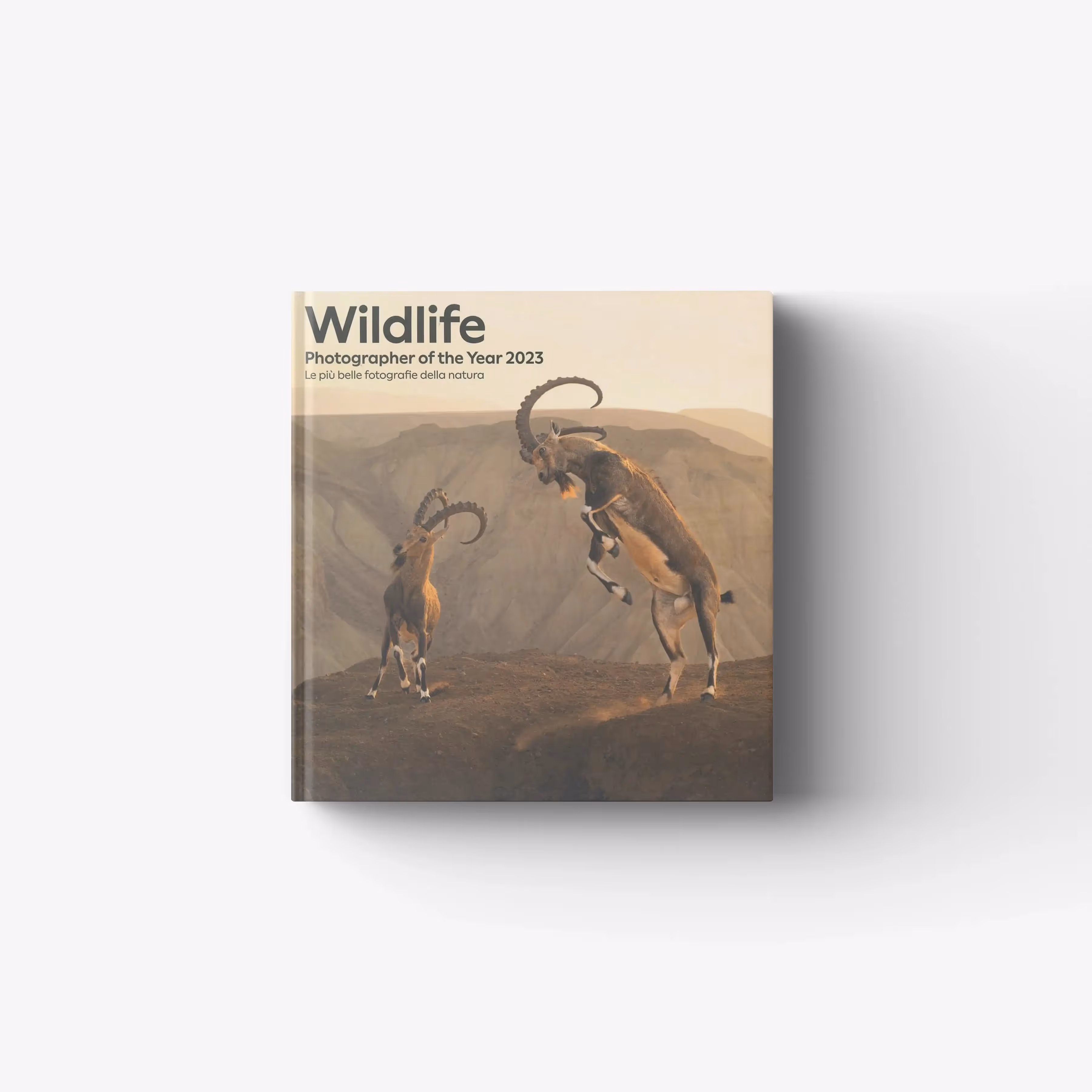 Wildlife Photographer of the Year 2023