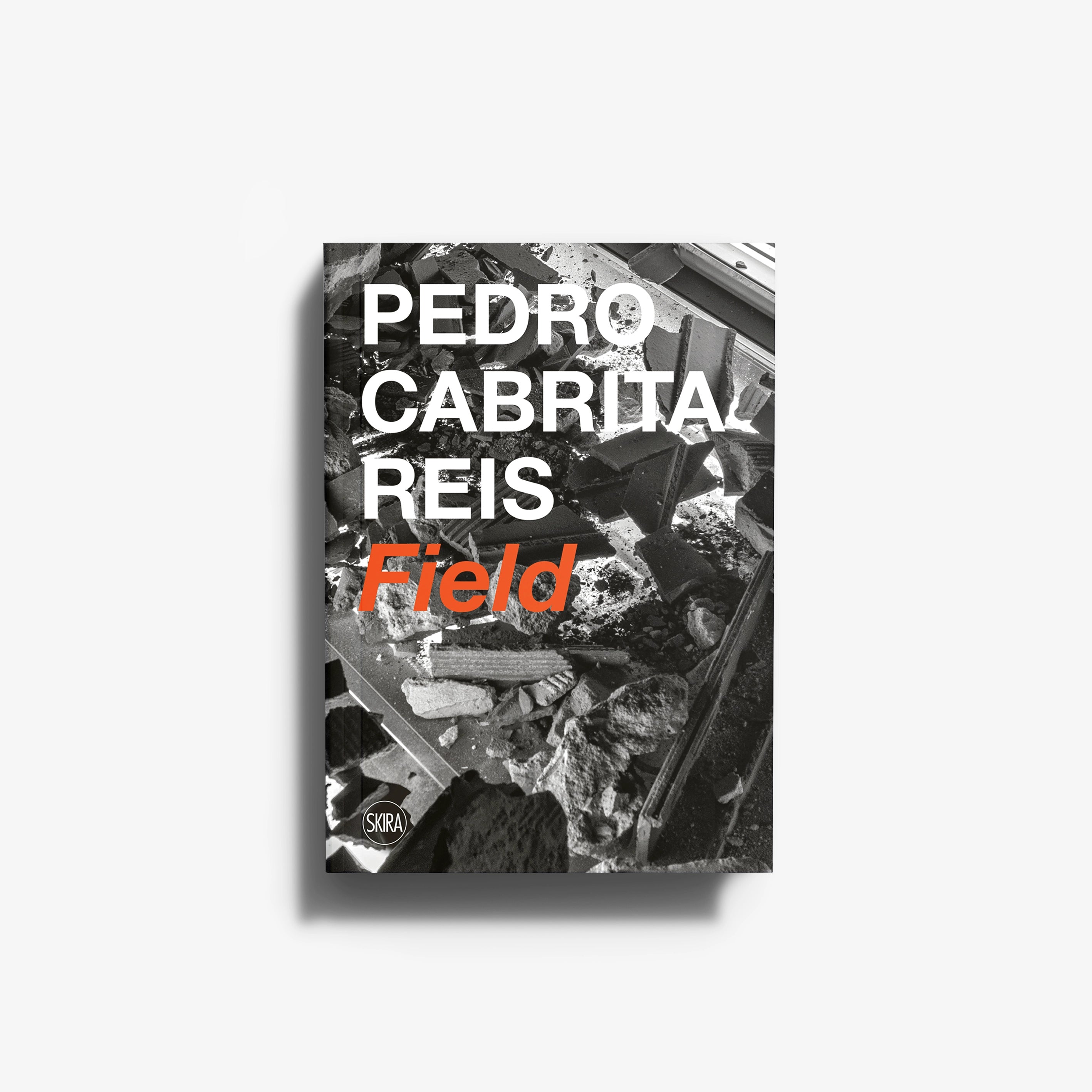 Pedro Cabrita Reis. Field
