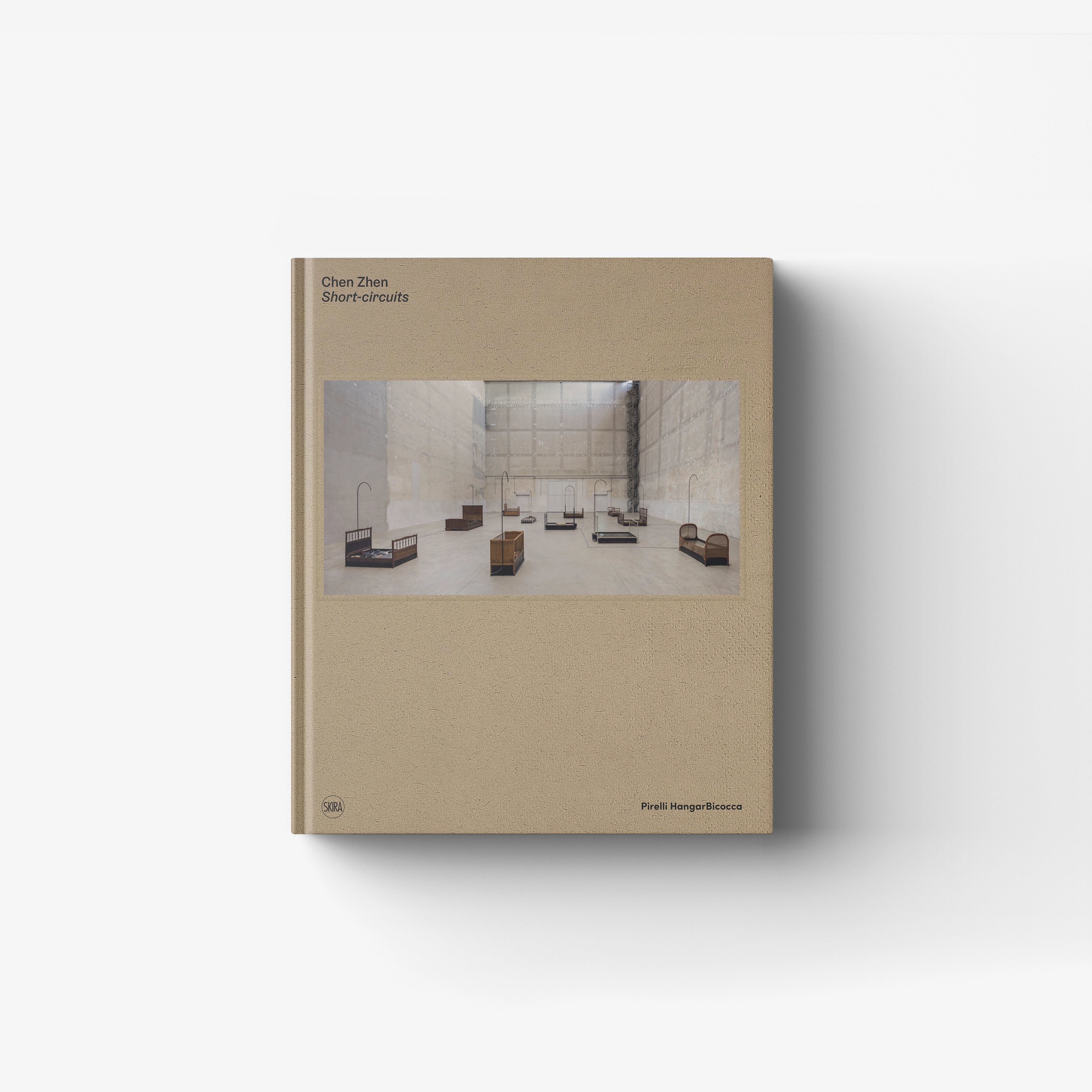 Chen Zhen. Short-circuits