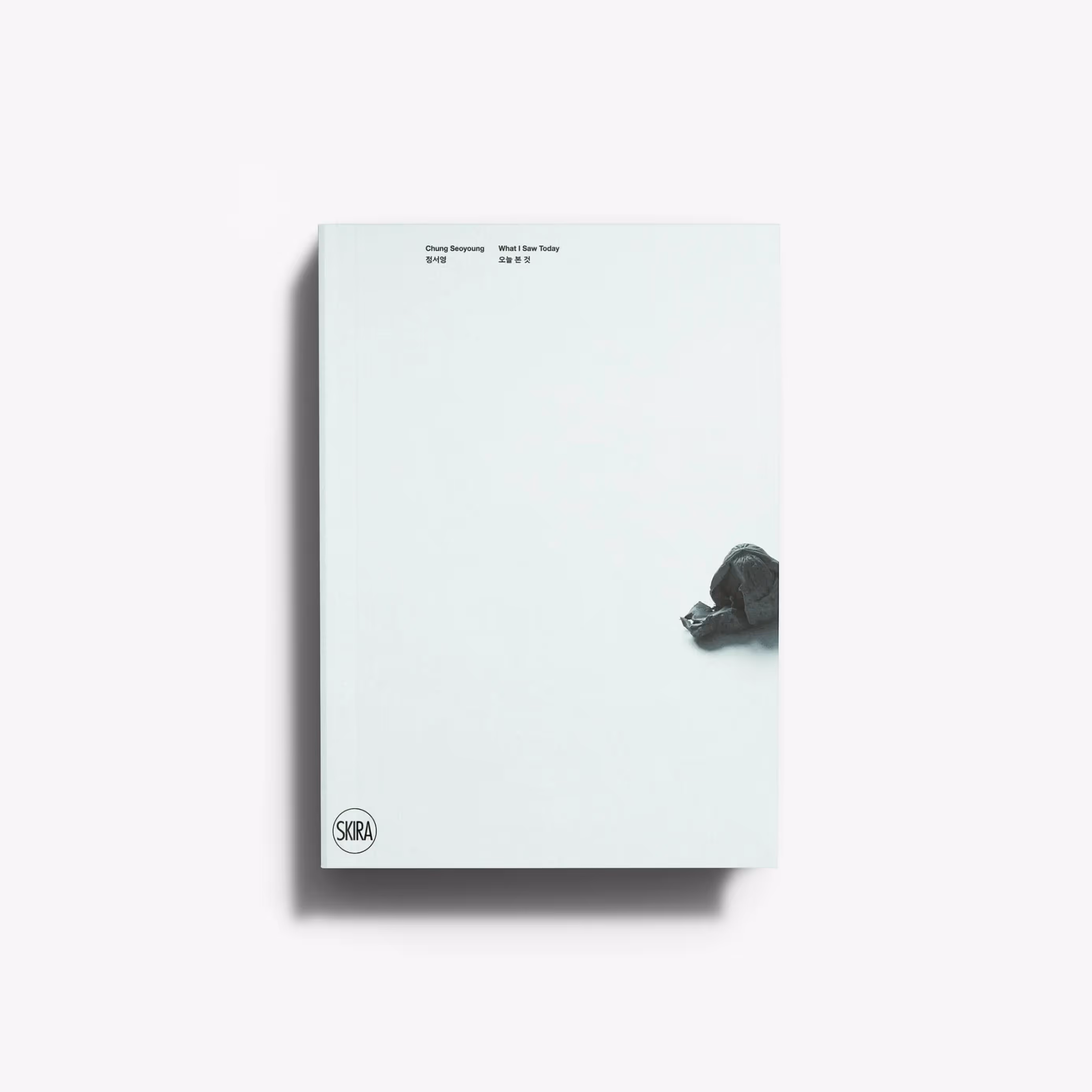 Chung Seoyoung. What I Saw Today