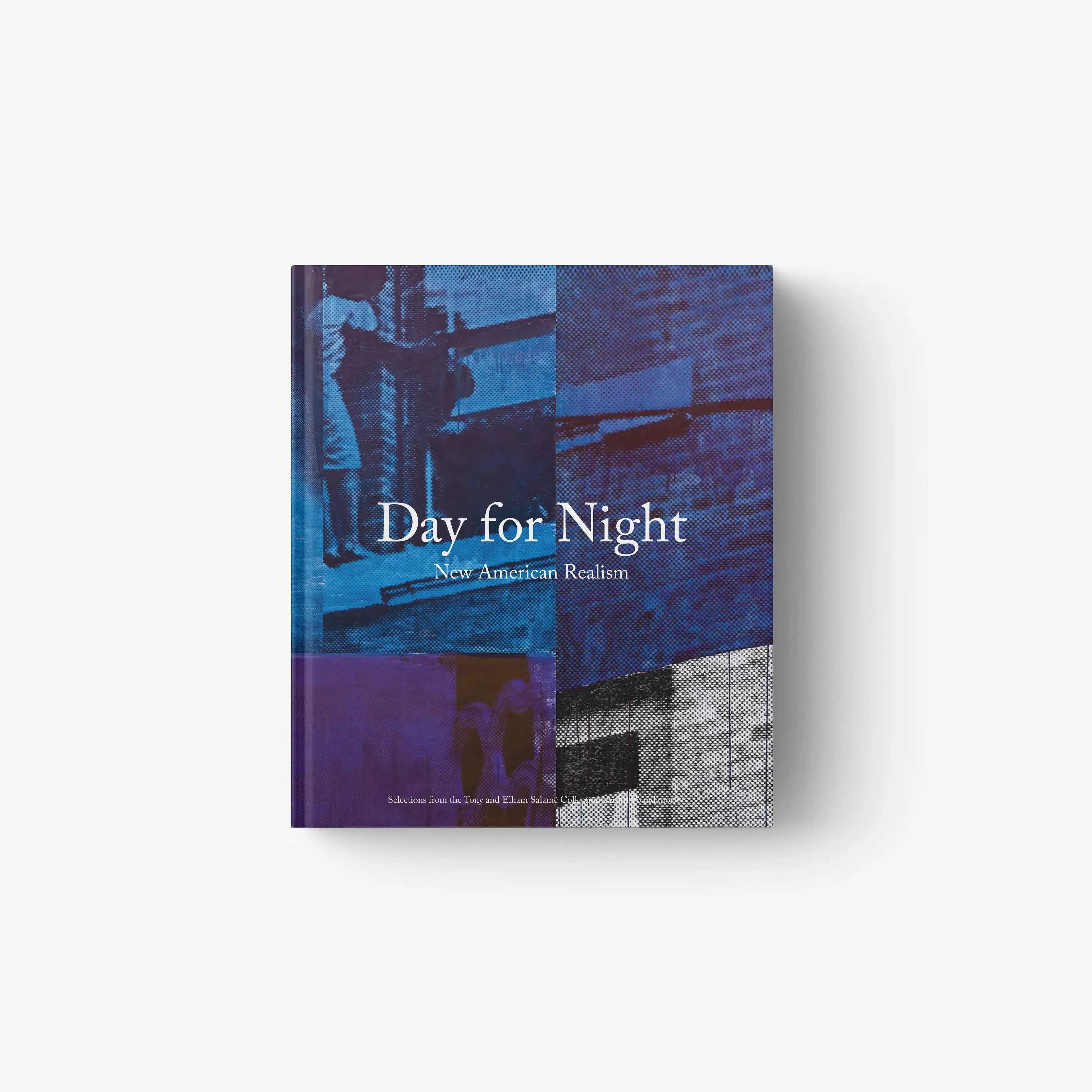 DAY FOR NIGHT. New American Realism