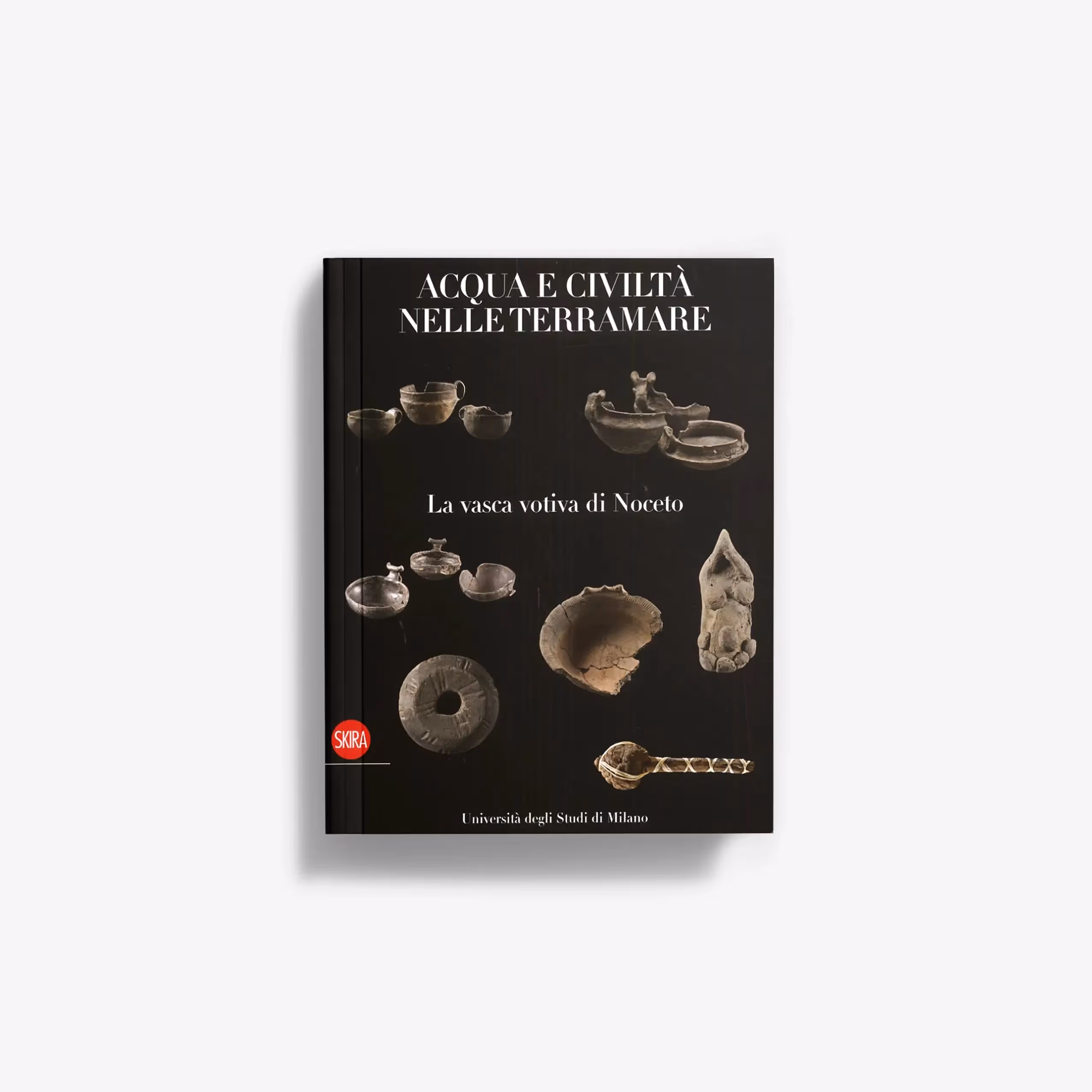 Acqua e civiltà nelle Terramare. La vasca votiva di Noceto