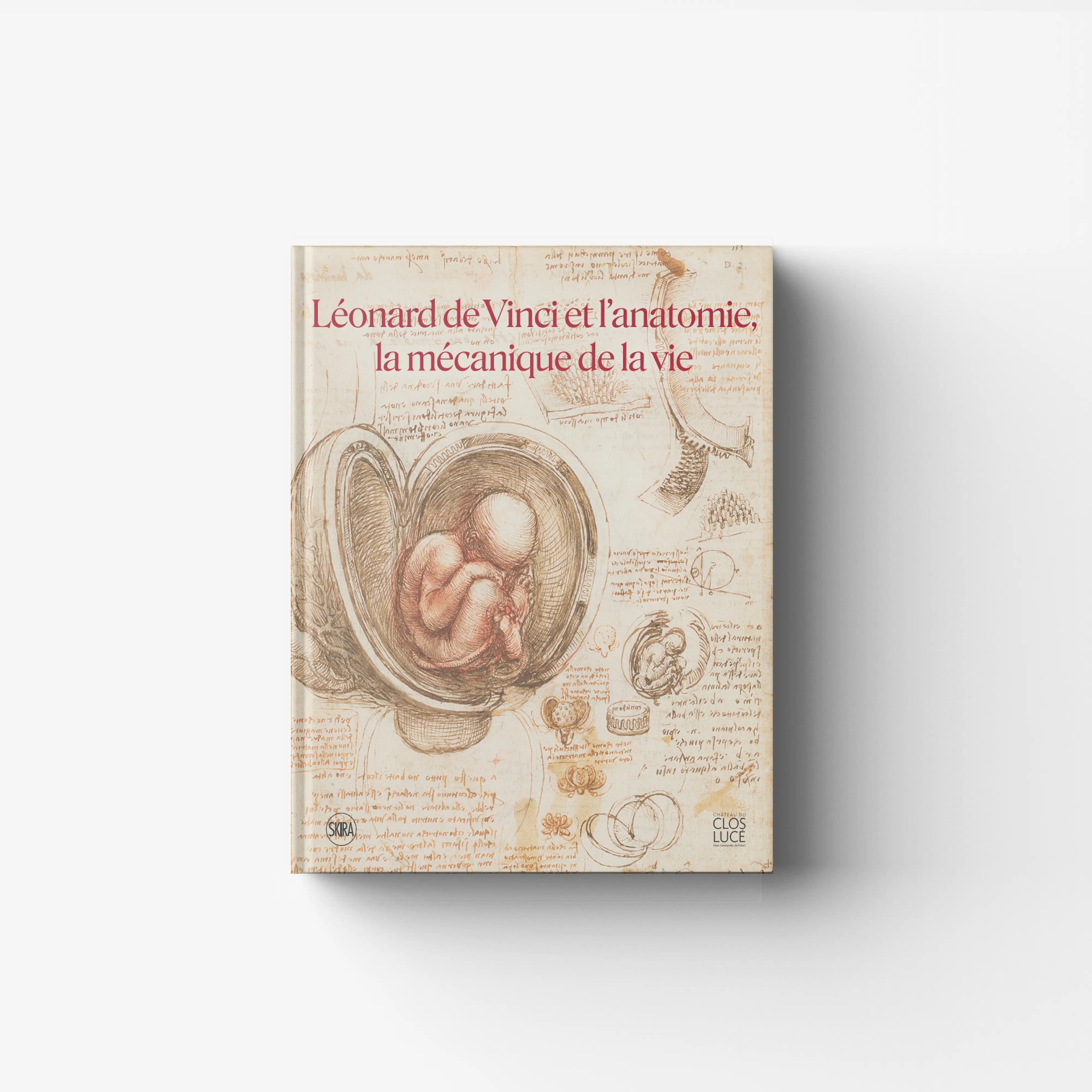 Léonard de Vinci et l'anatomie, la mécanique de la vie