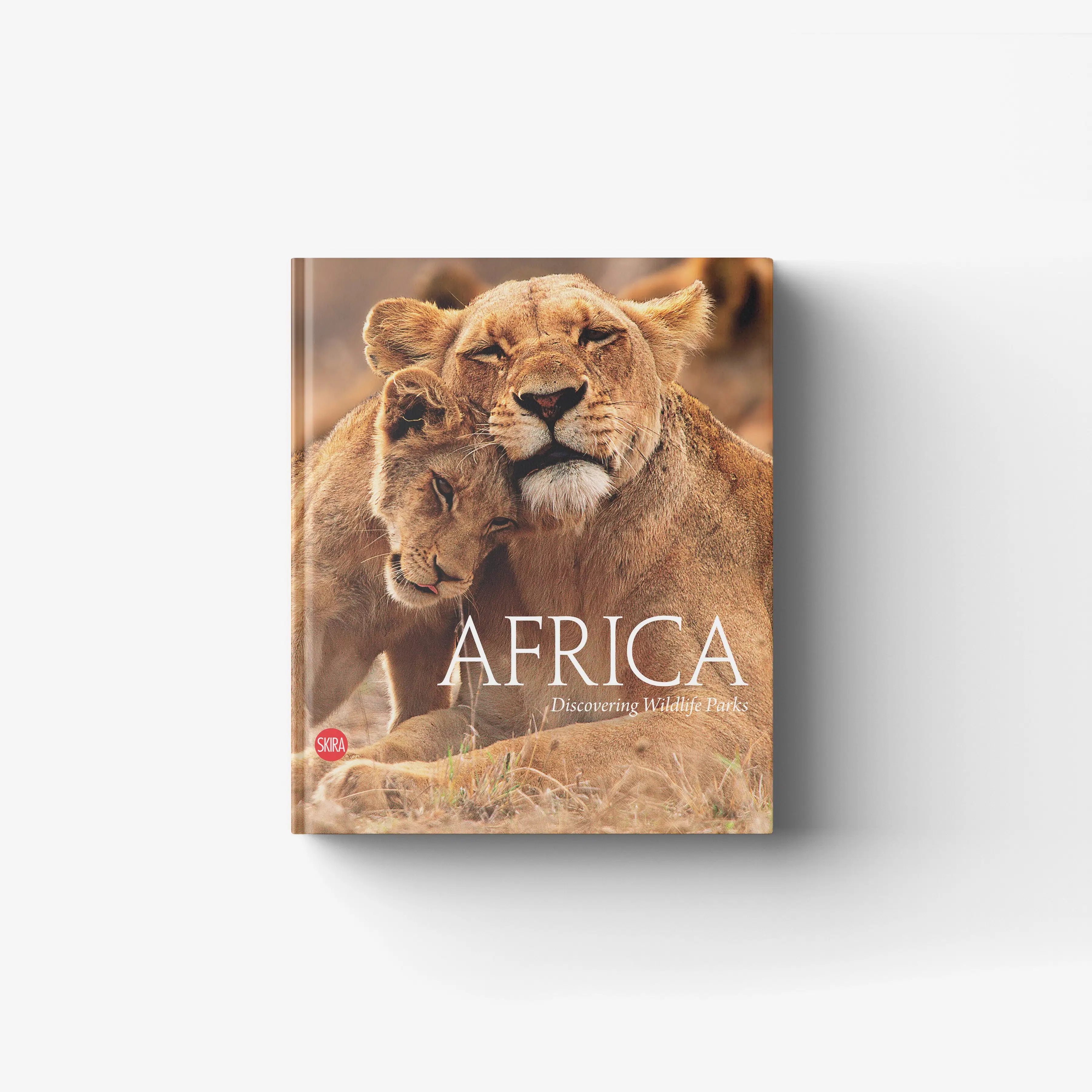 Africa. Discovering wildlife parks