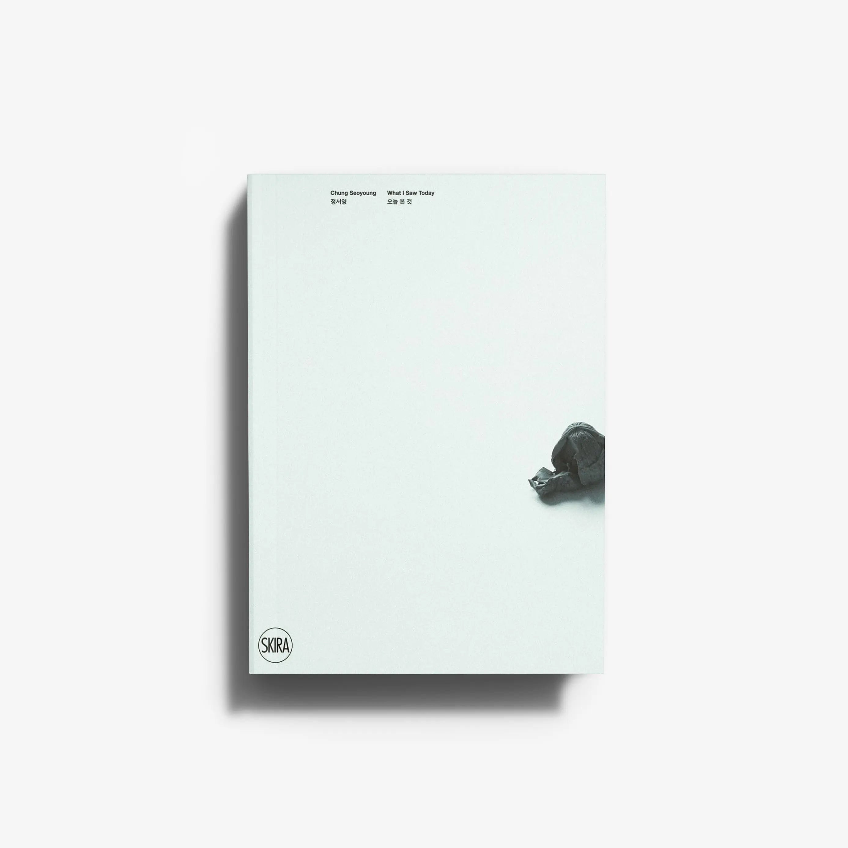 Chung Seoyoung. What I Saw Today