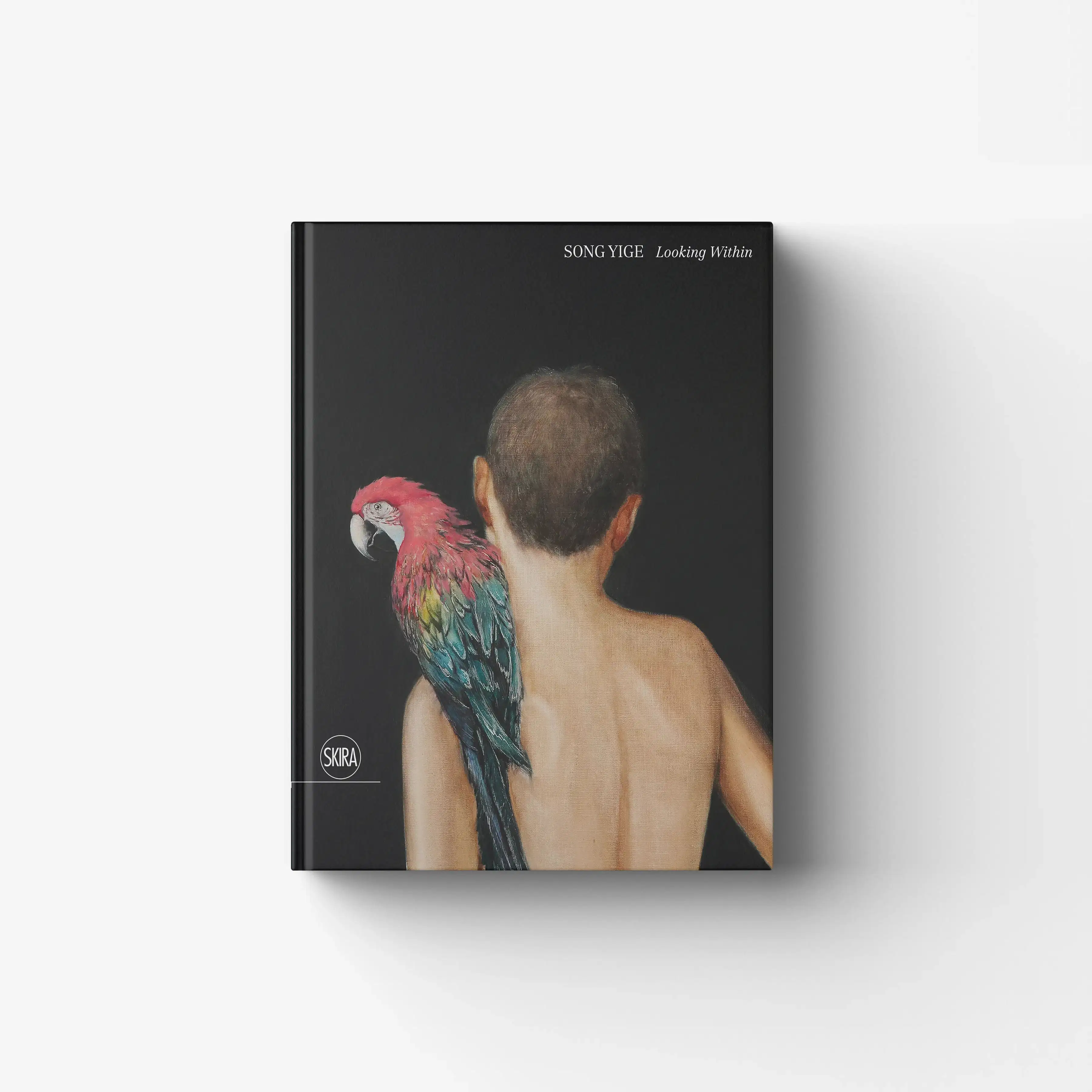 Song Yige. Looking within