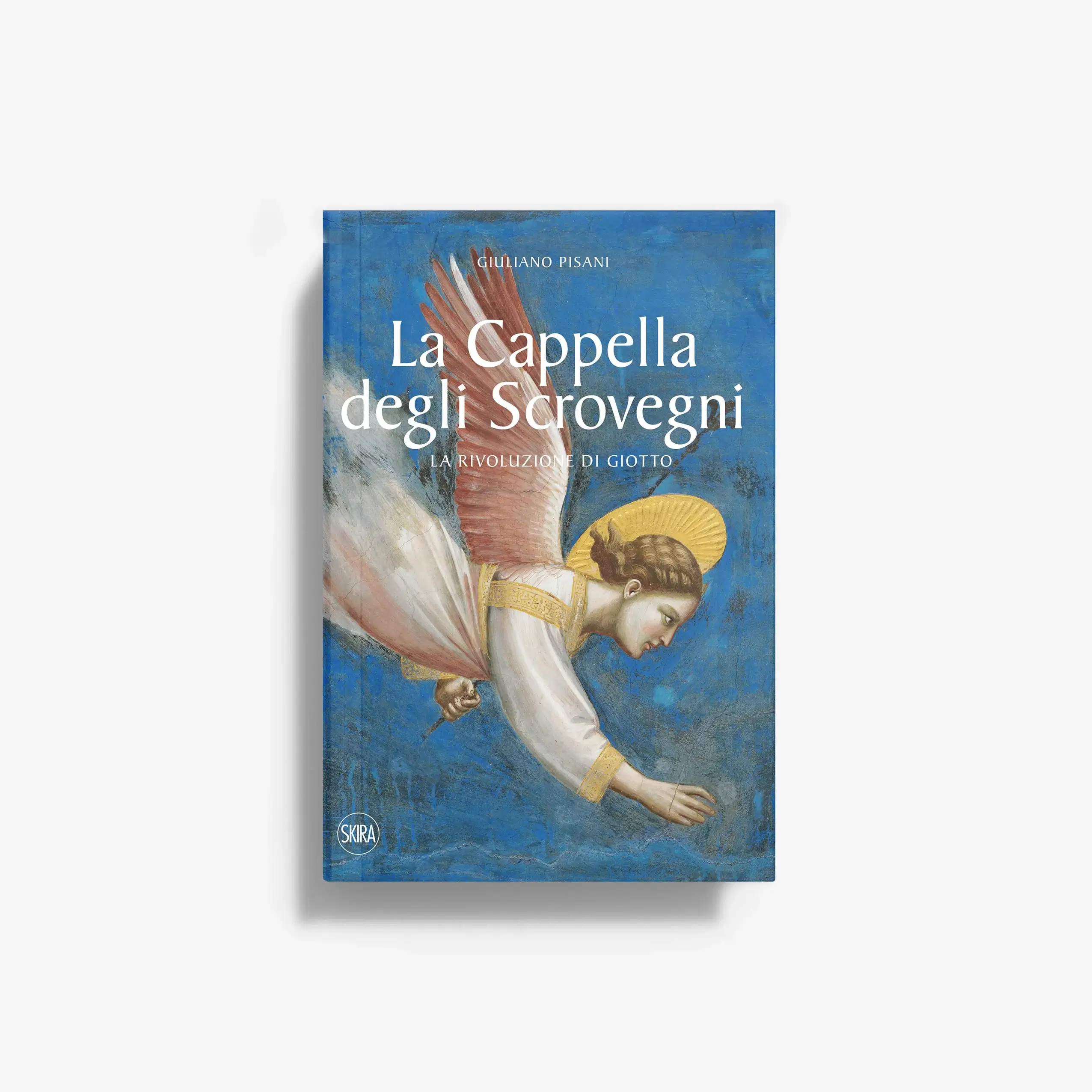 La Cappella degli Scrovegni (Italian Edition)