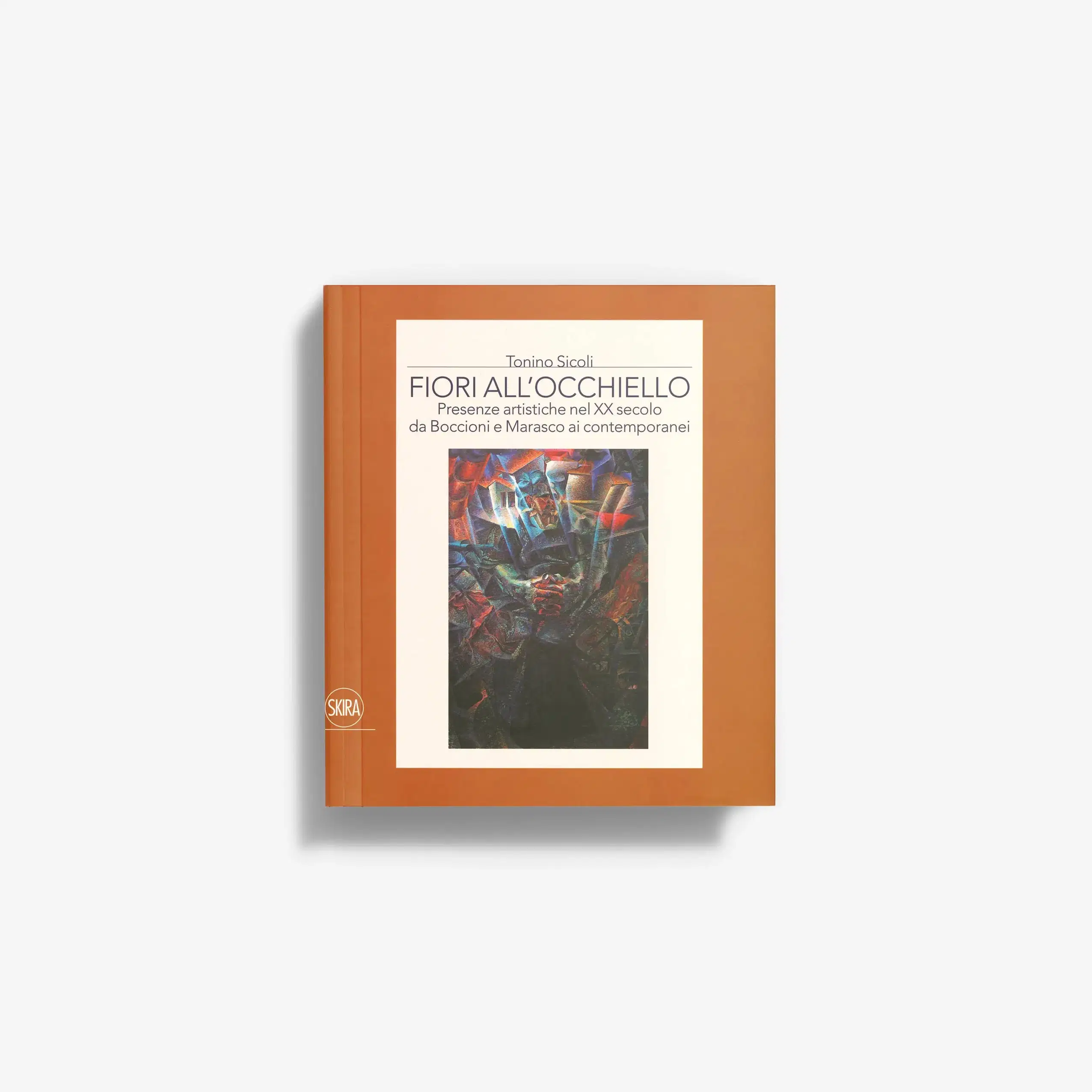 Fiori all'occhiello Presenze artistiche nel XX secolo da Boccioni e Marasco ai contemporanei