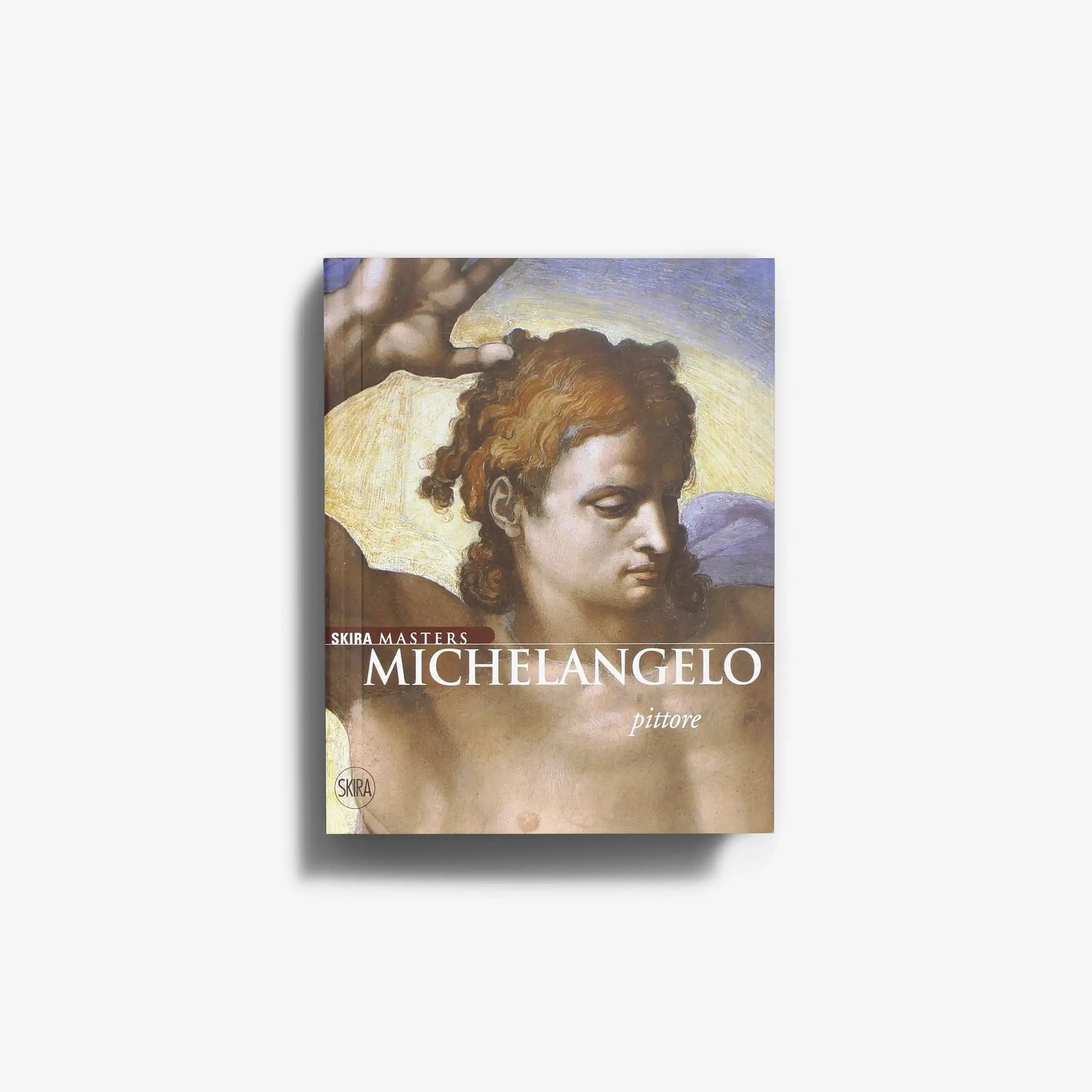 Michelangelo pittore