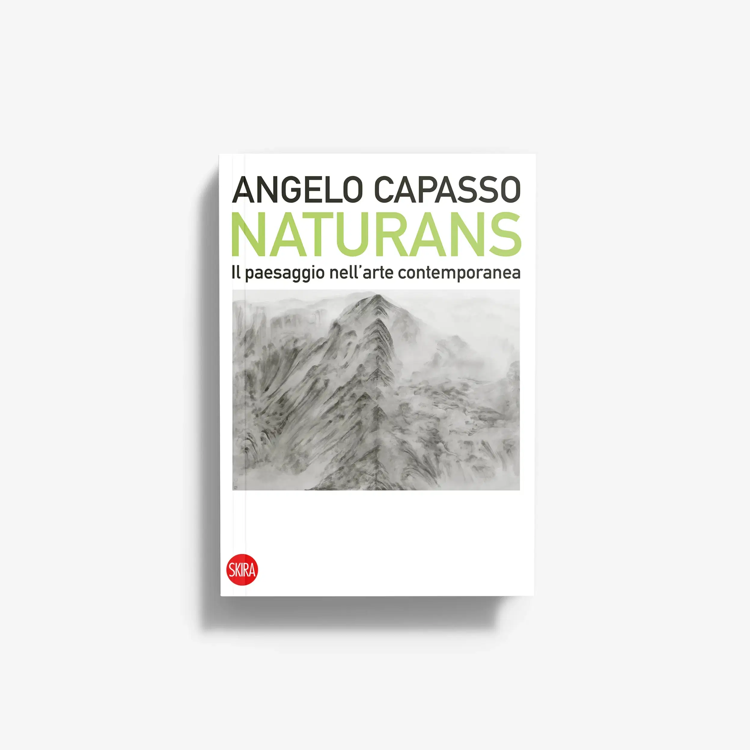 Naturans. Il paesaggio nell’arte contemporanea