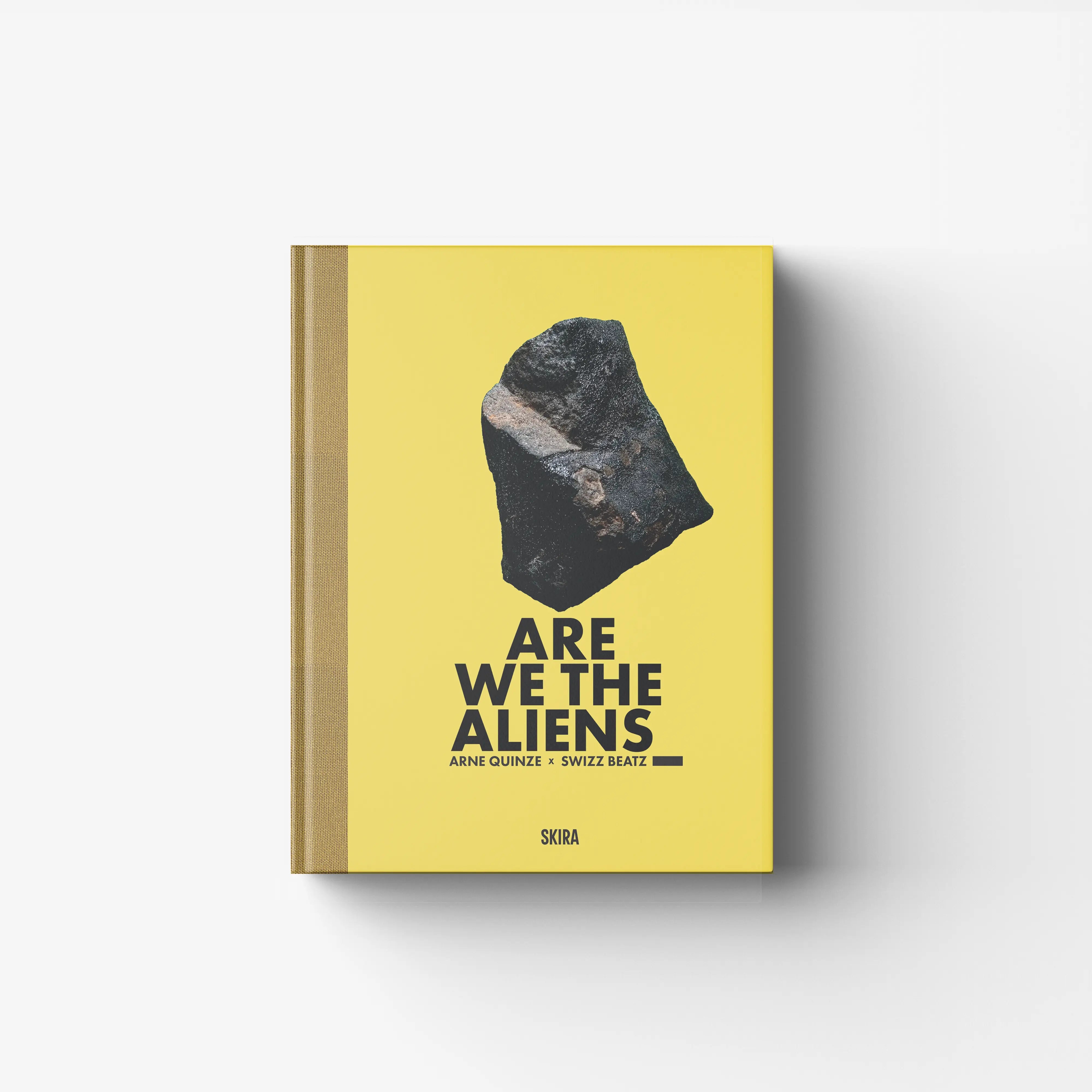 Arne Quinze. Are we the aliens