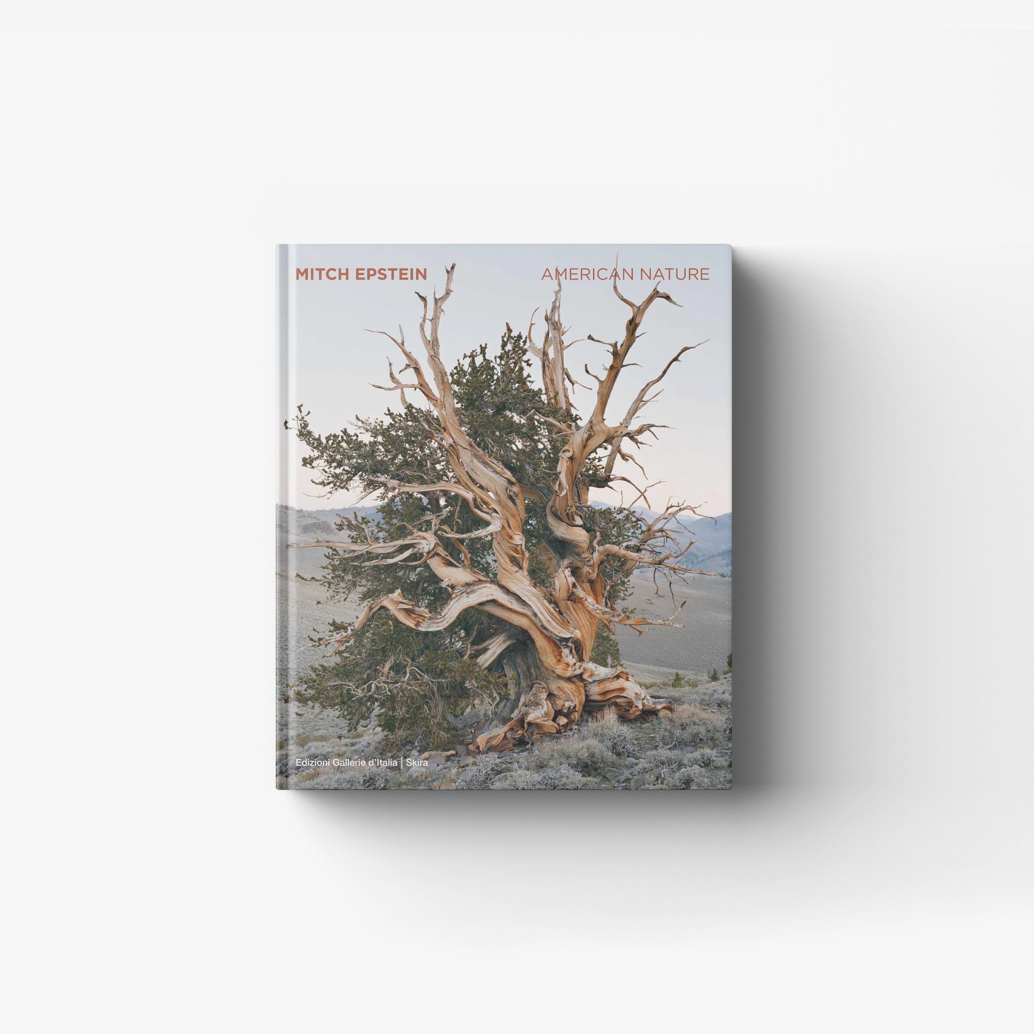 MITCH EPSTEIN. AMERICAN NATURE