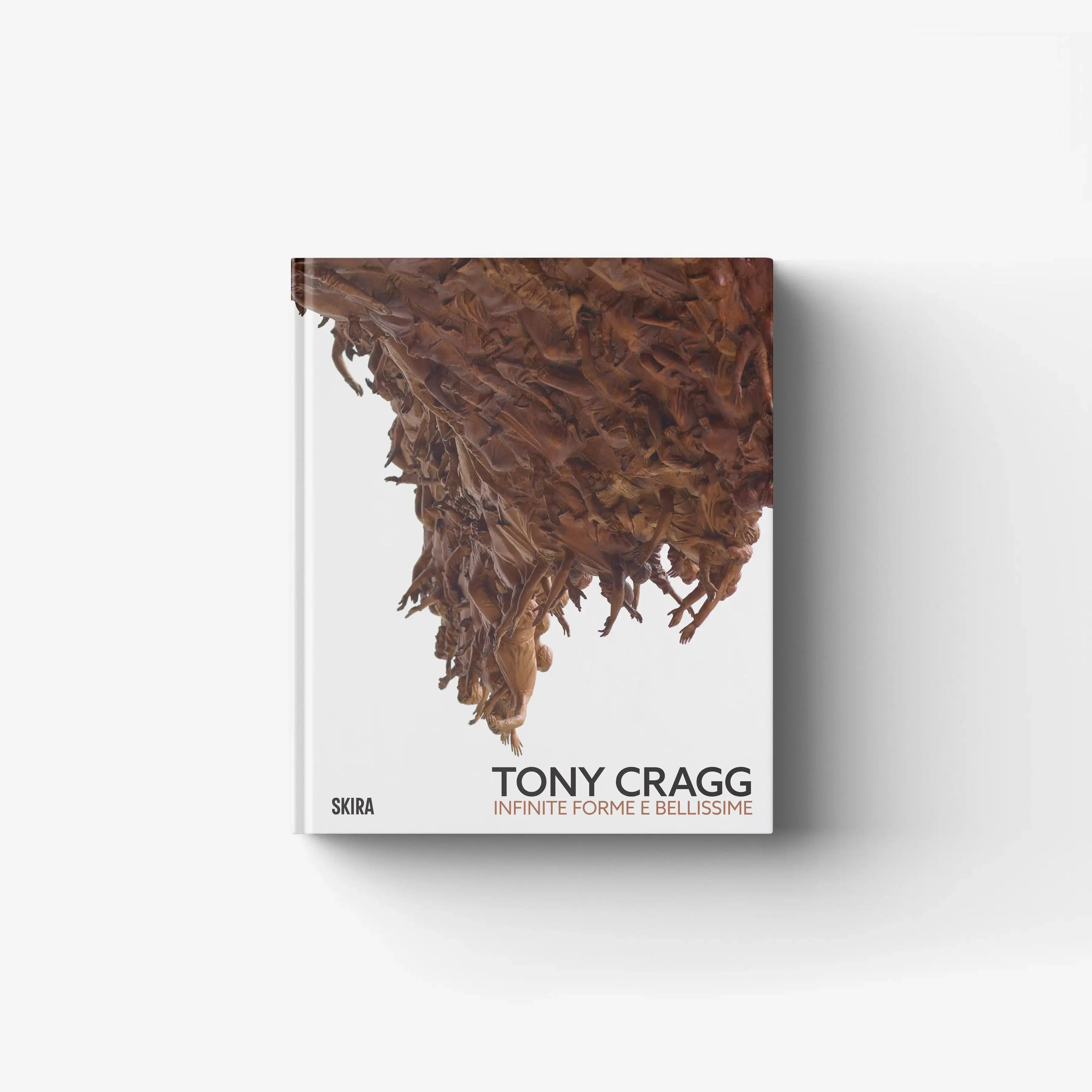 Tony Cragg. Infinite forme e bellissime