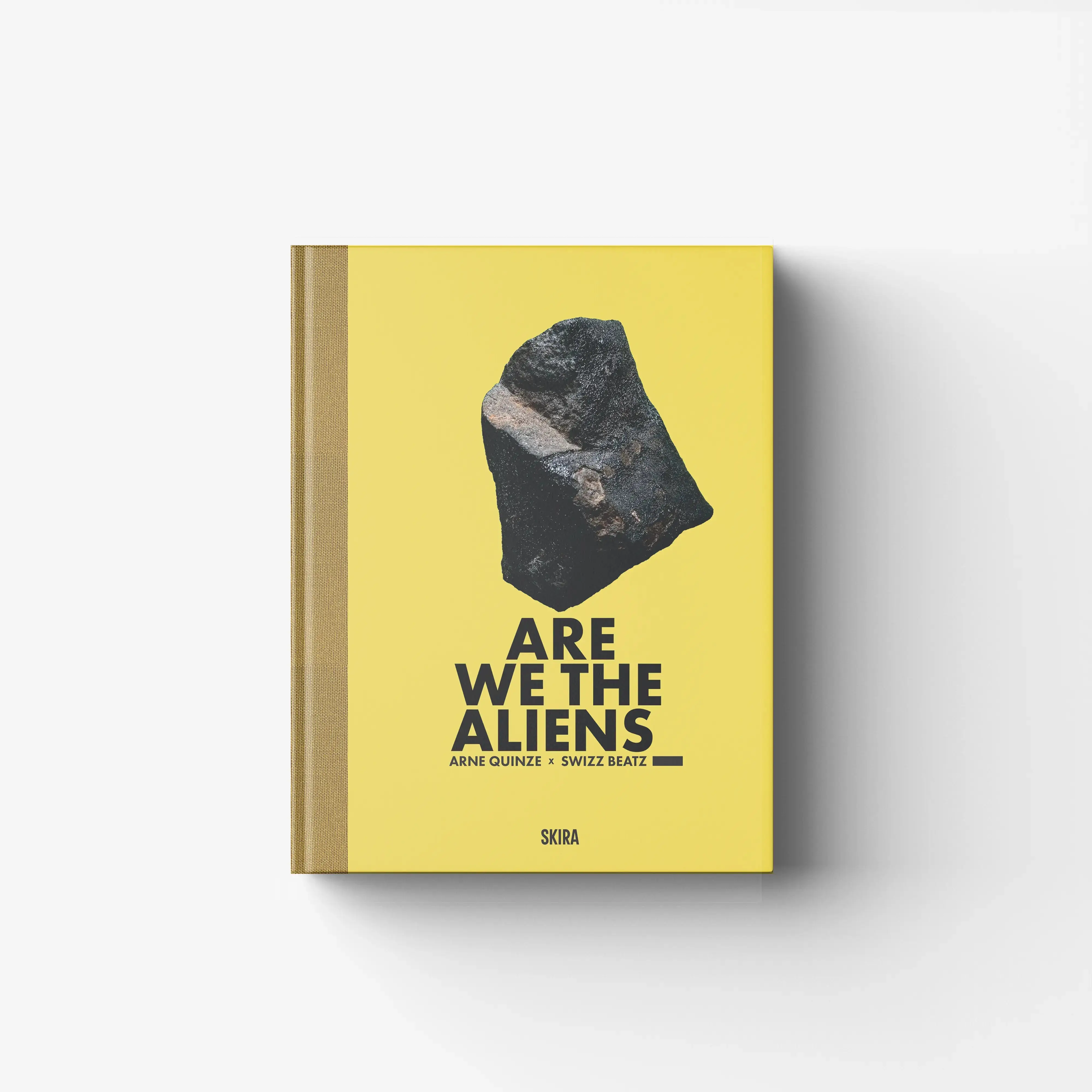 Arne Quinze. Are we the aliens