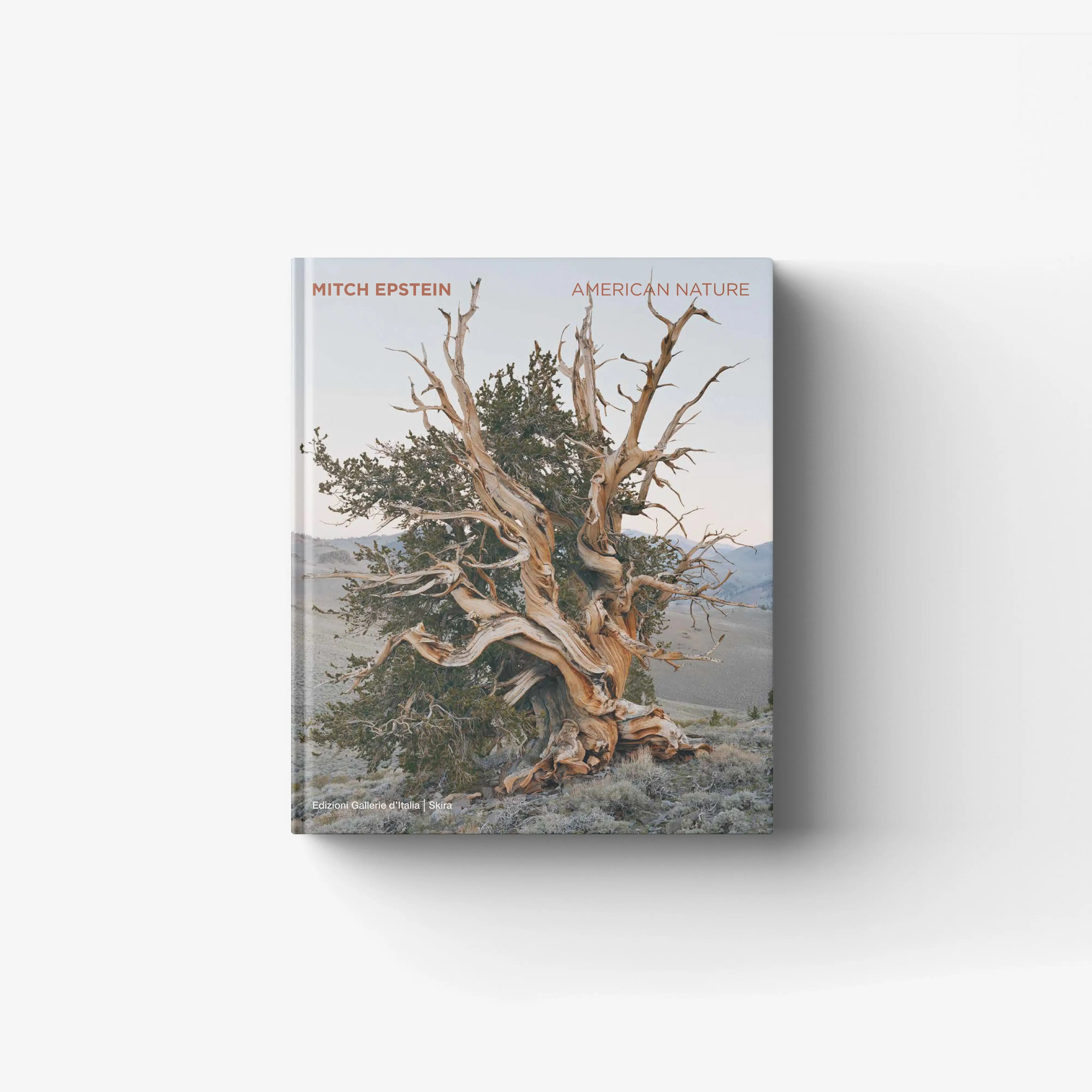 Mitch Epstein. American Nature