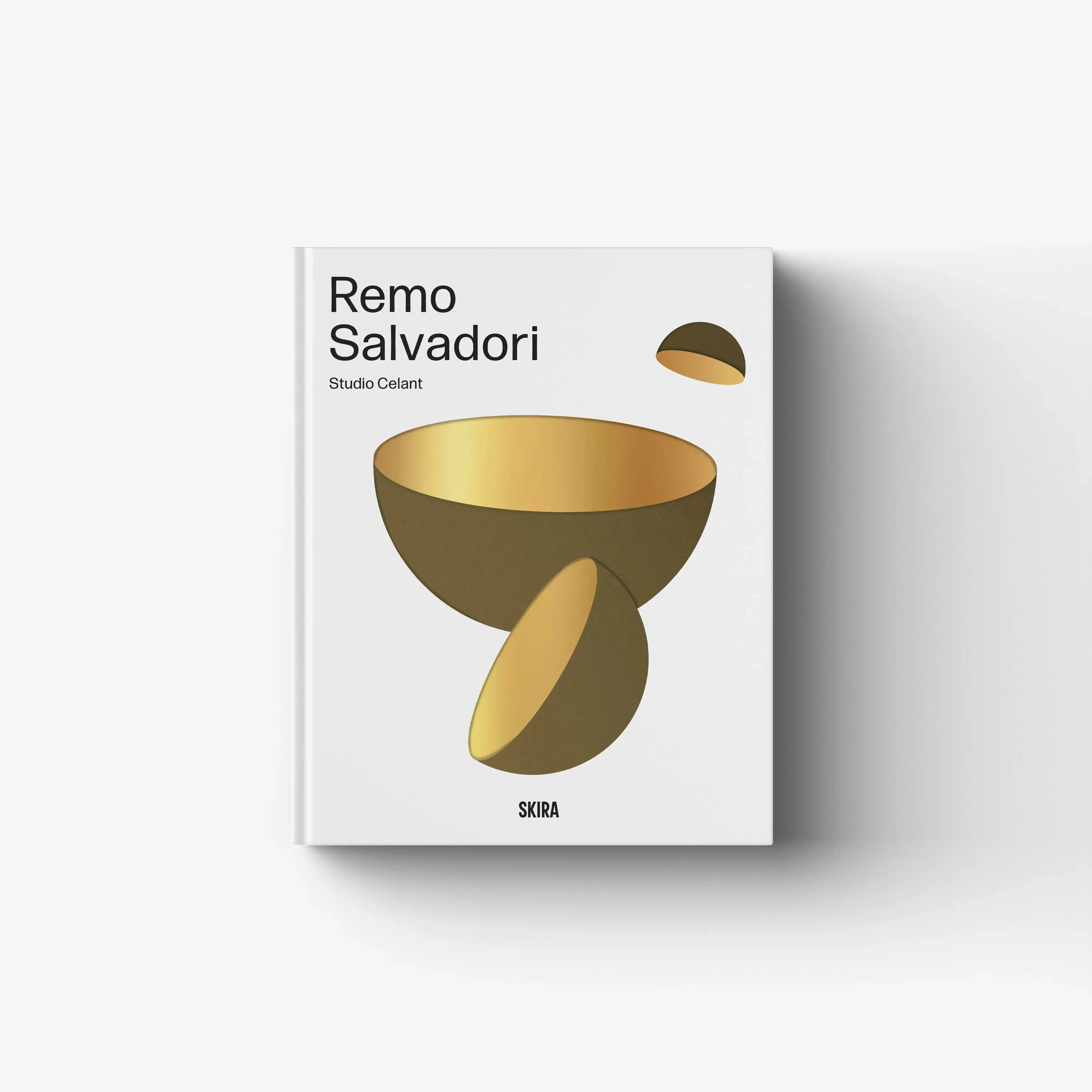 REMO SALVADORI (Italian Edition)
