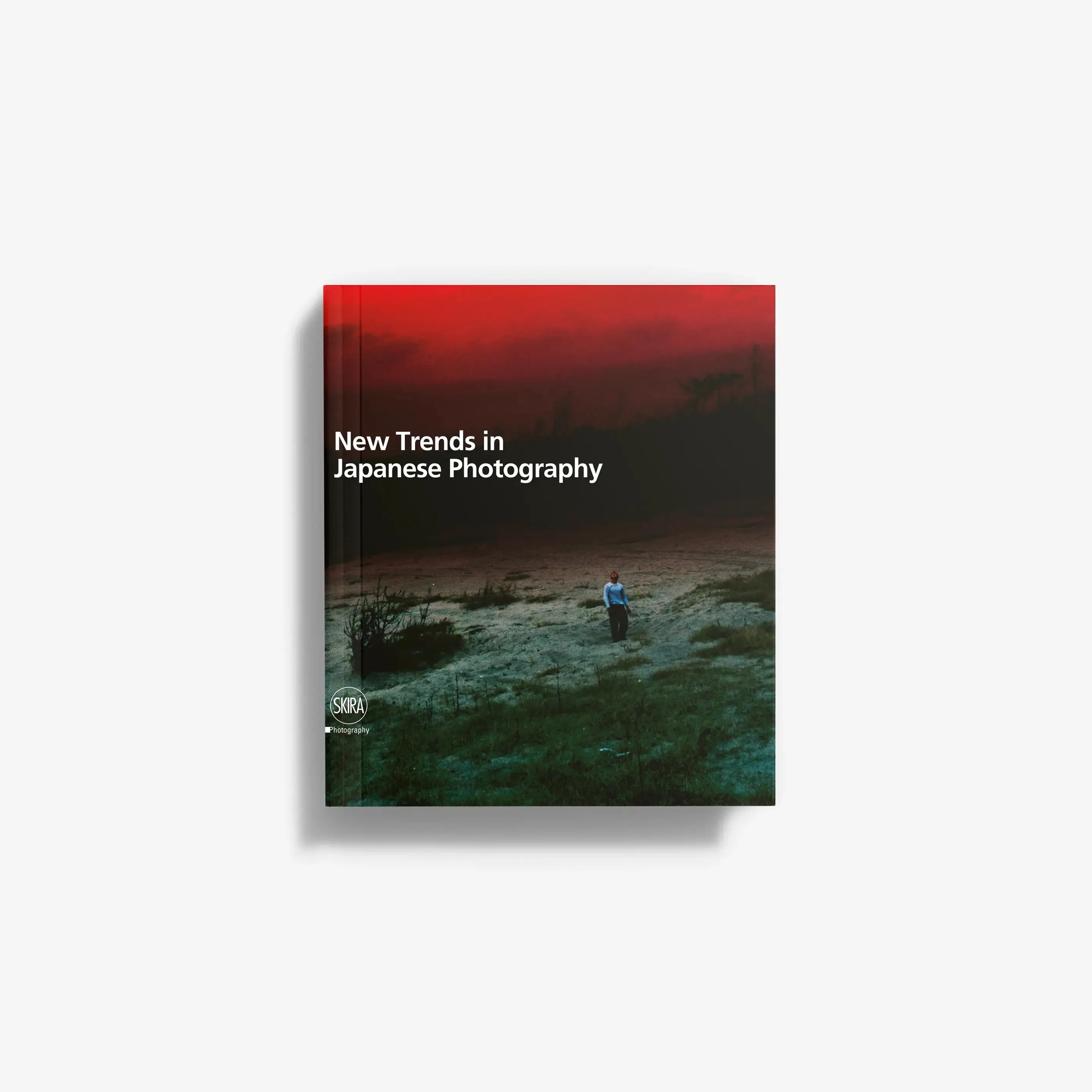 New Trends in Japanese Photography