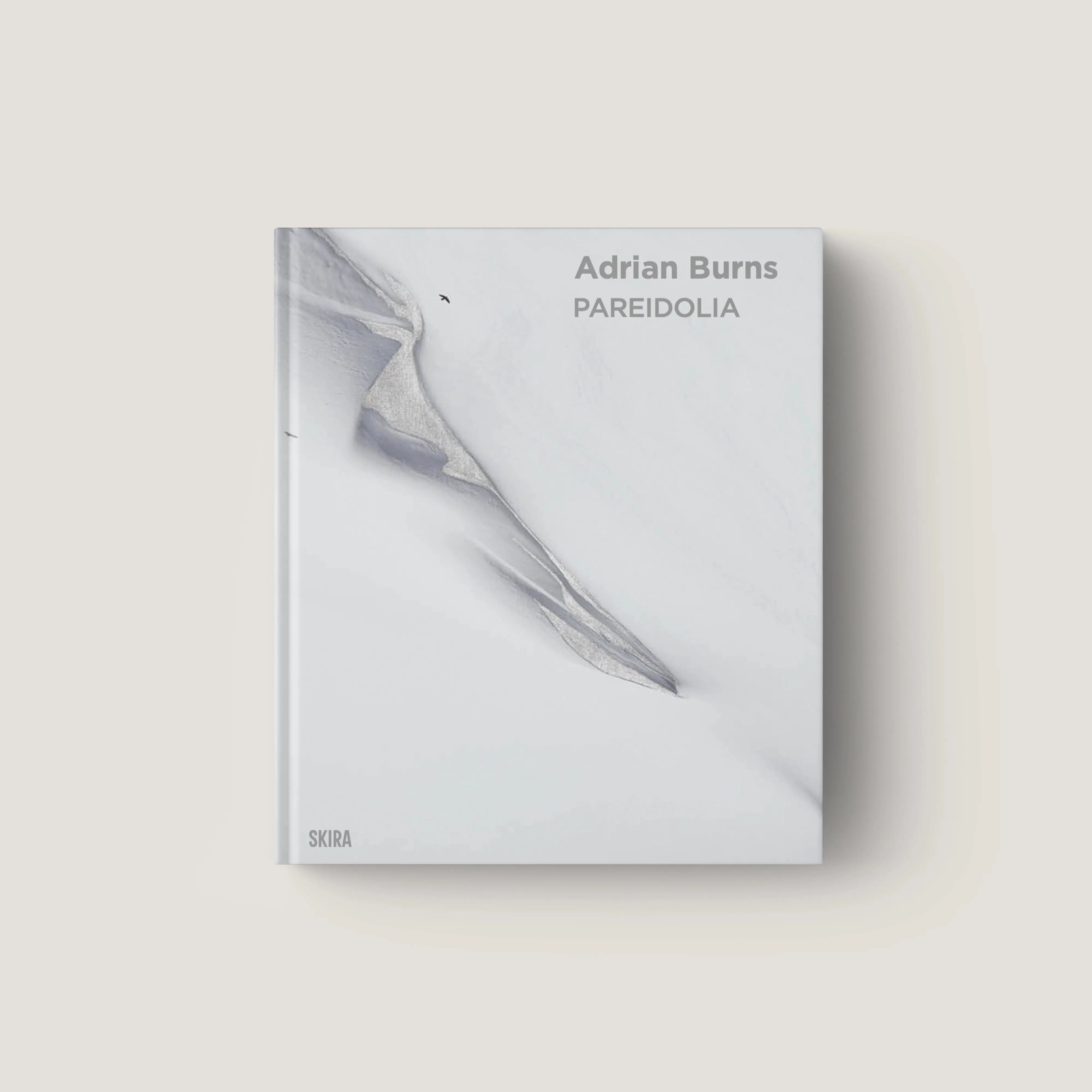 Adrian Burns. Pareidolia