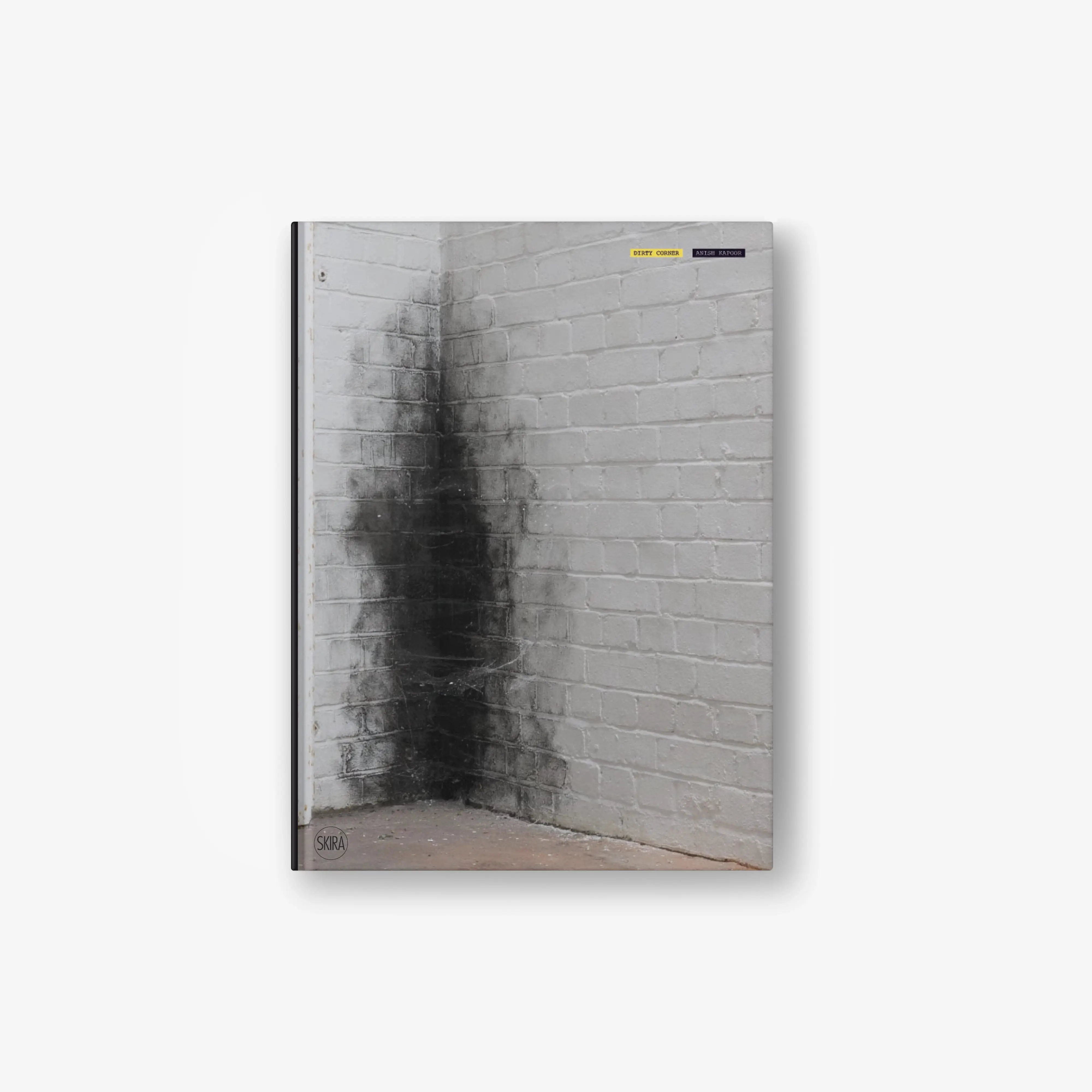 Anish Kapoor. Dirty Corner