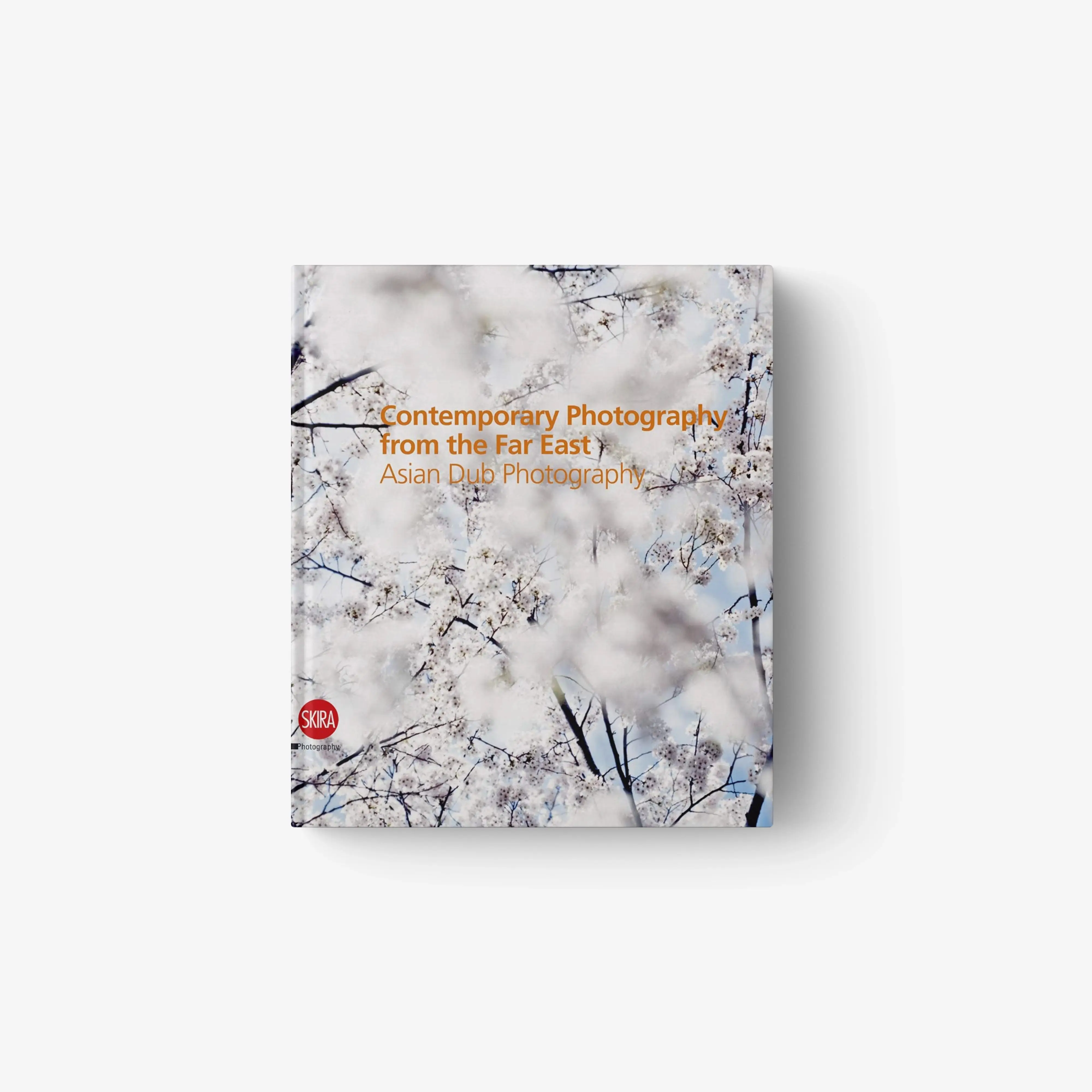 Contemporary Photography from the Far East