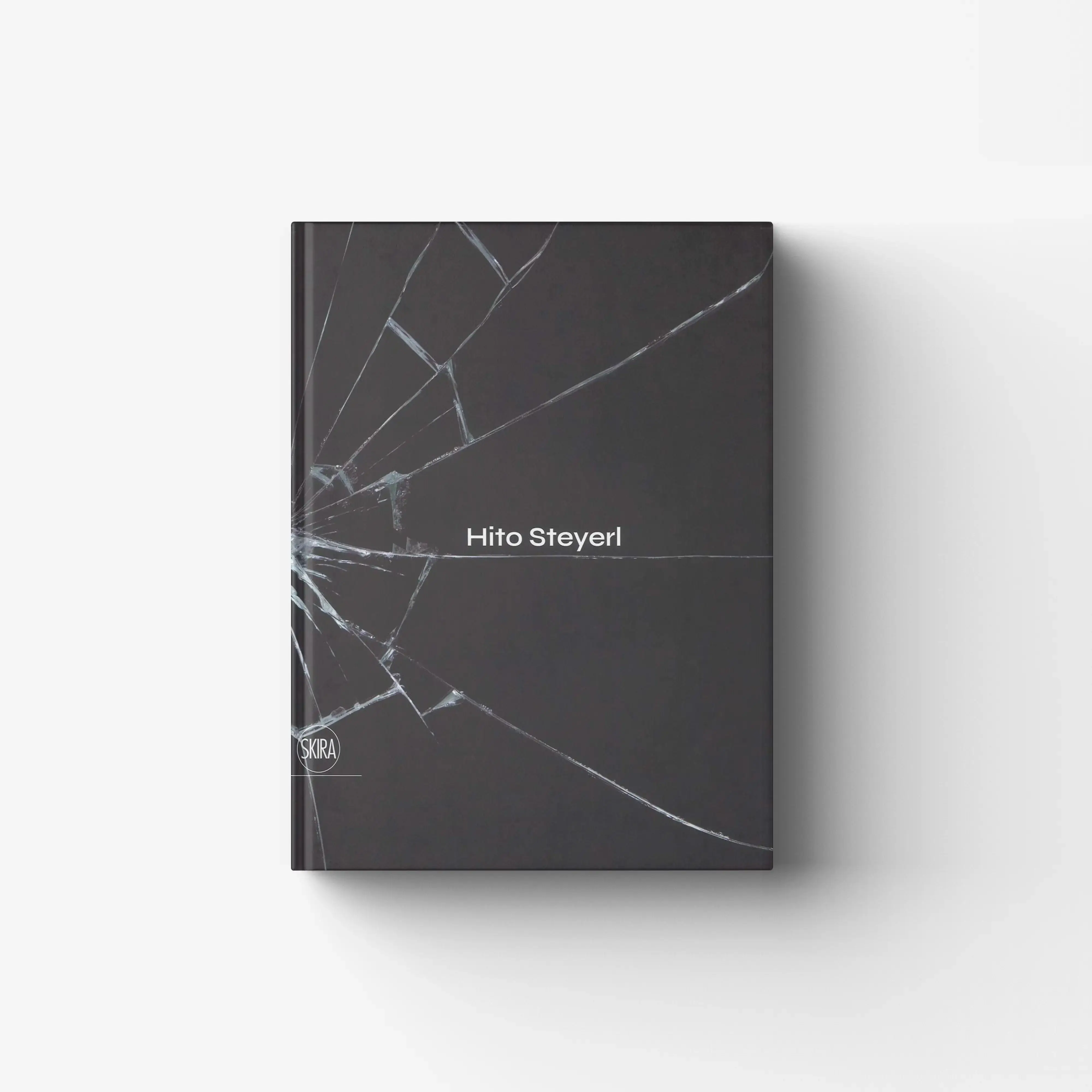 Hito Steyerl (Italian Edition)