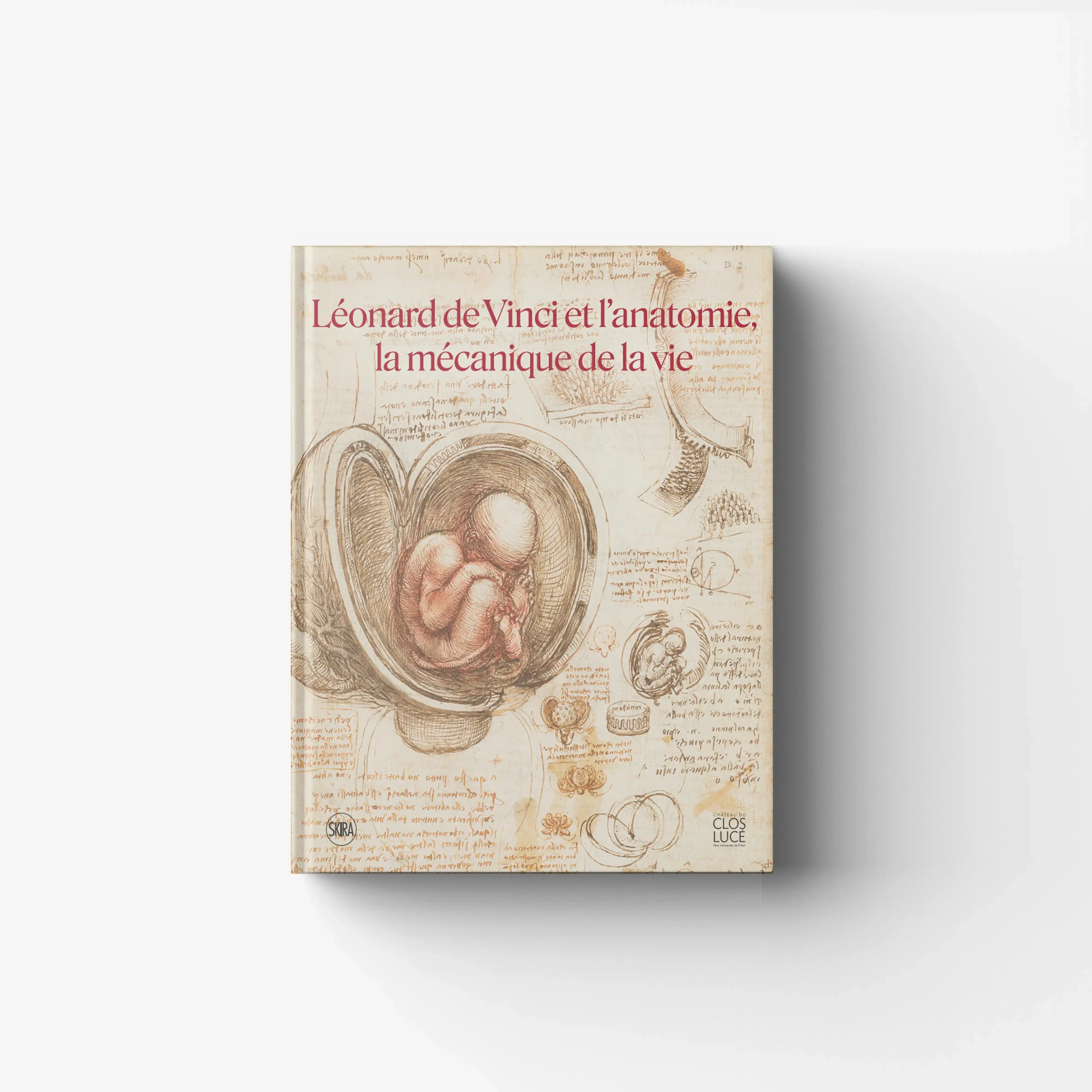 Léonard de Vinci et l'anatomie, la mécanique de la vie