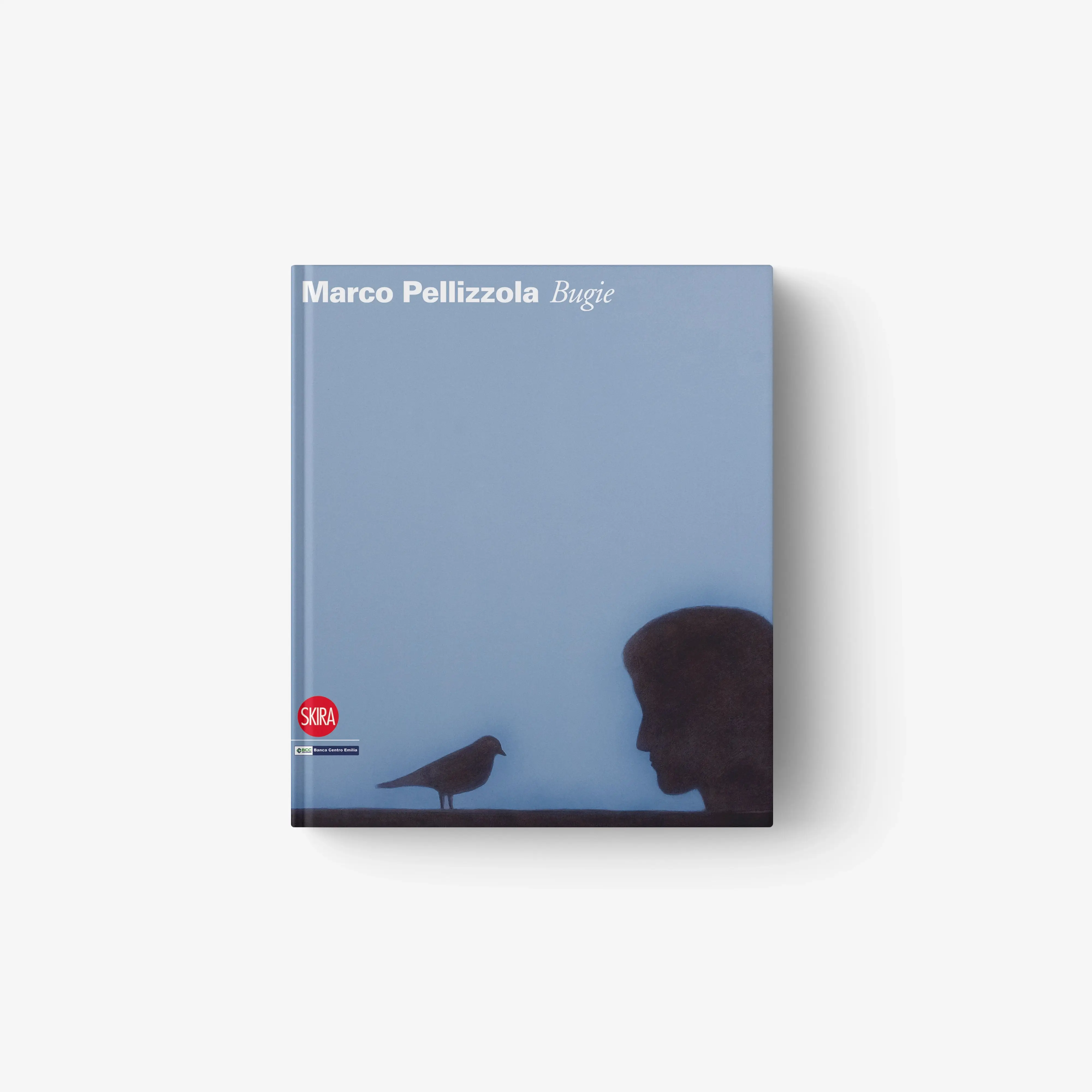 Marco Pellizzola. Bugie