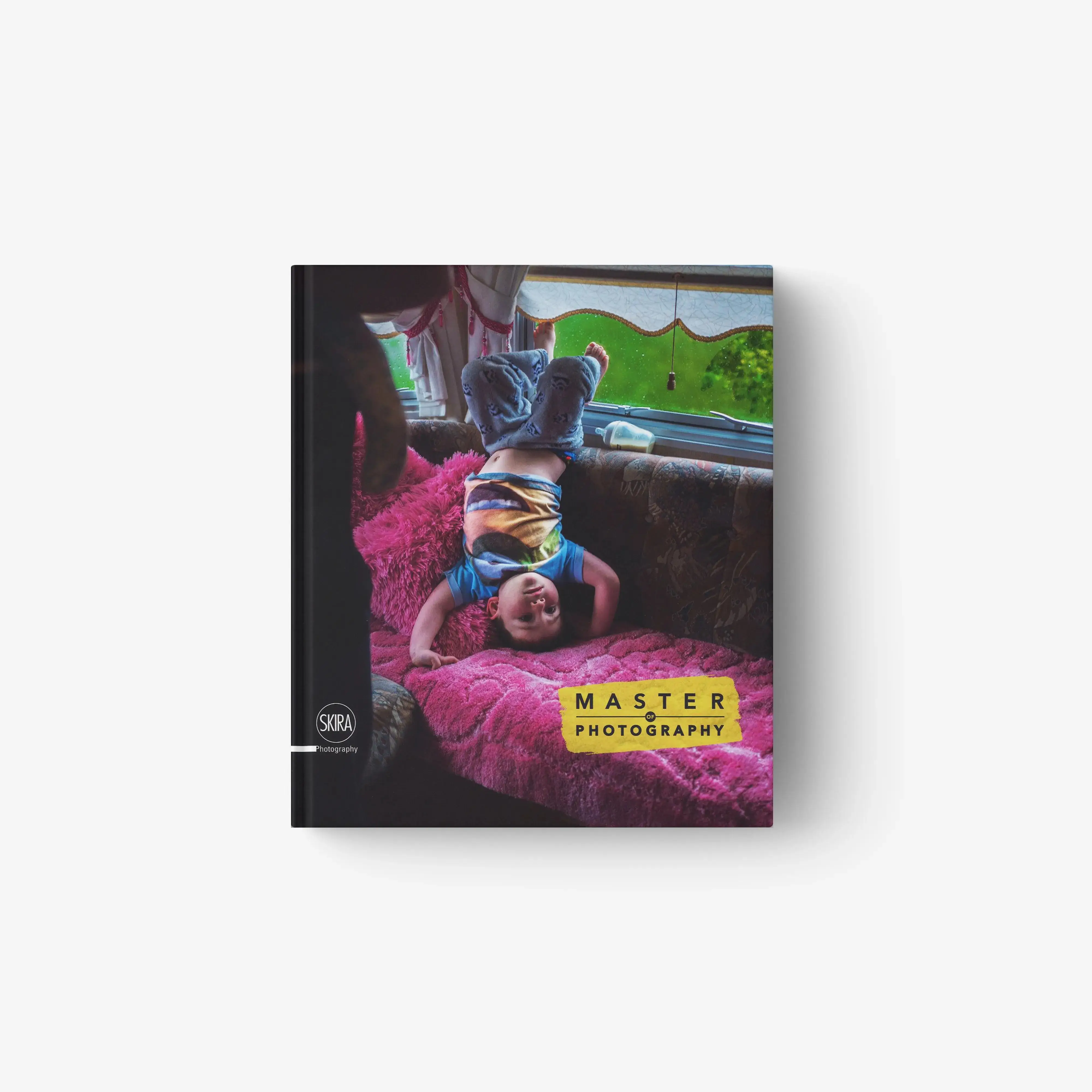 Master of photography 2017 (English Edition)