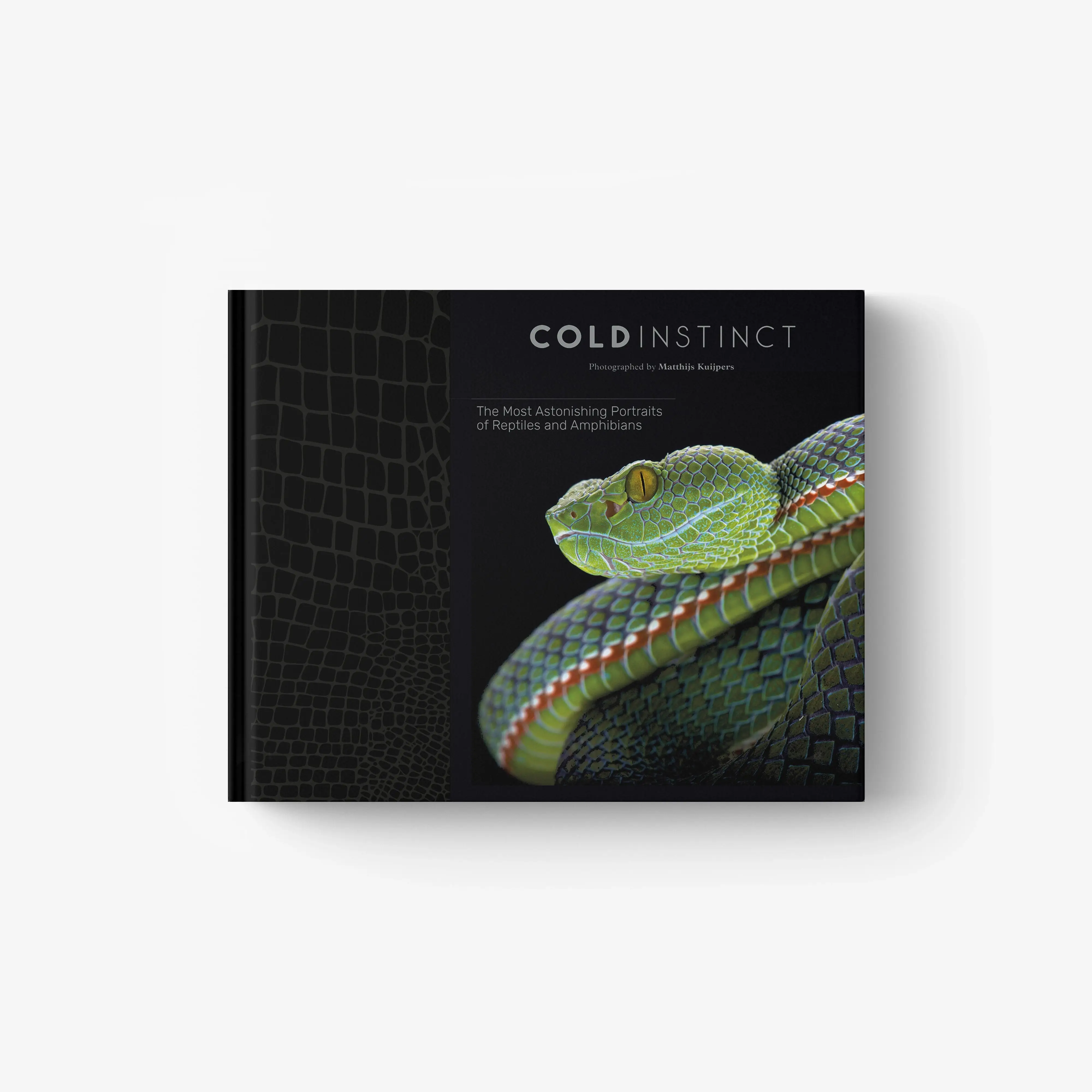 Matthijs Kuijpers. Cold Instinct