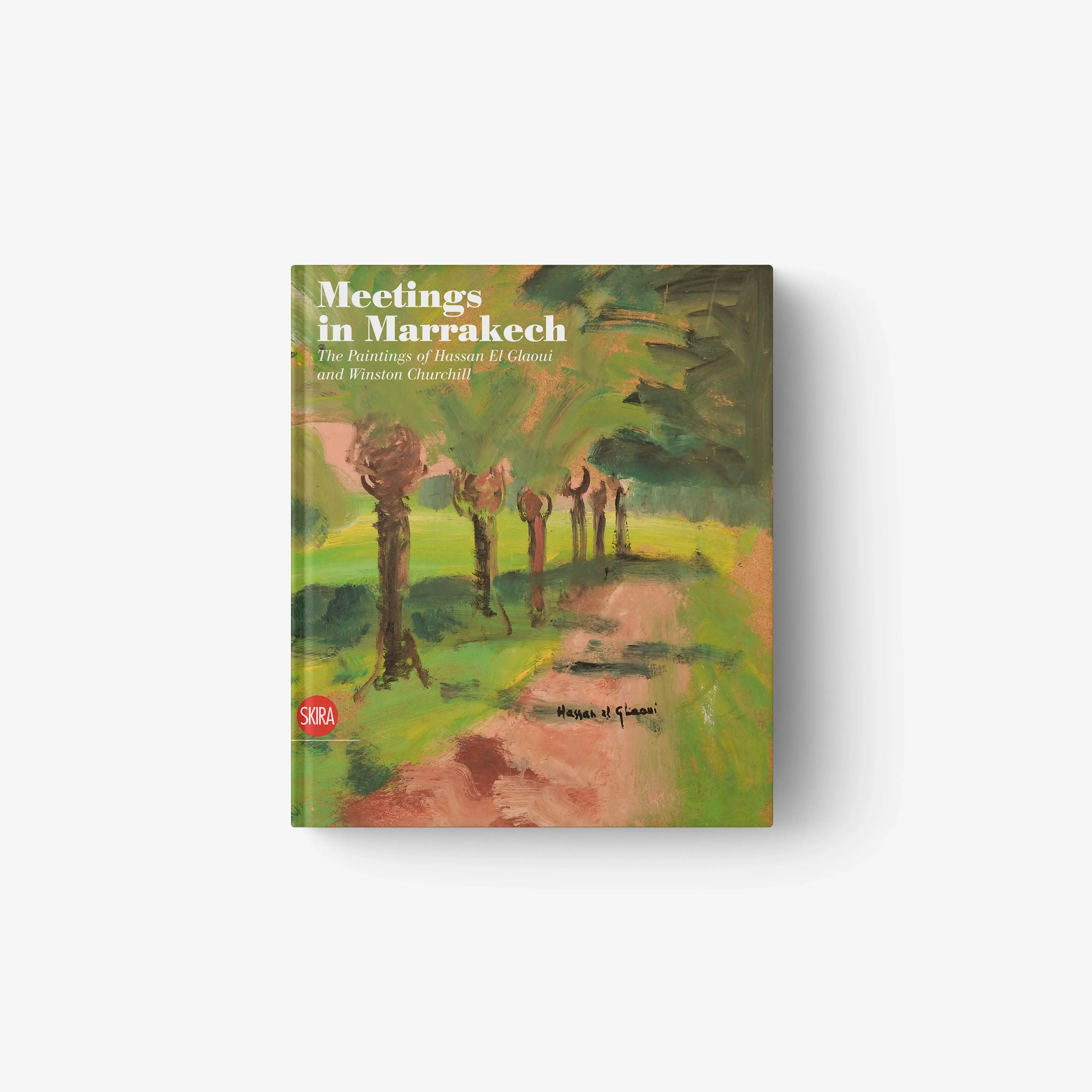 Meetings in Marrakech