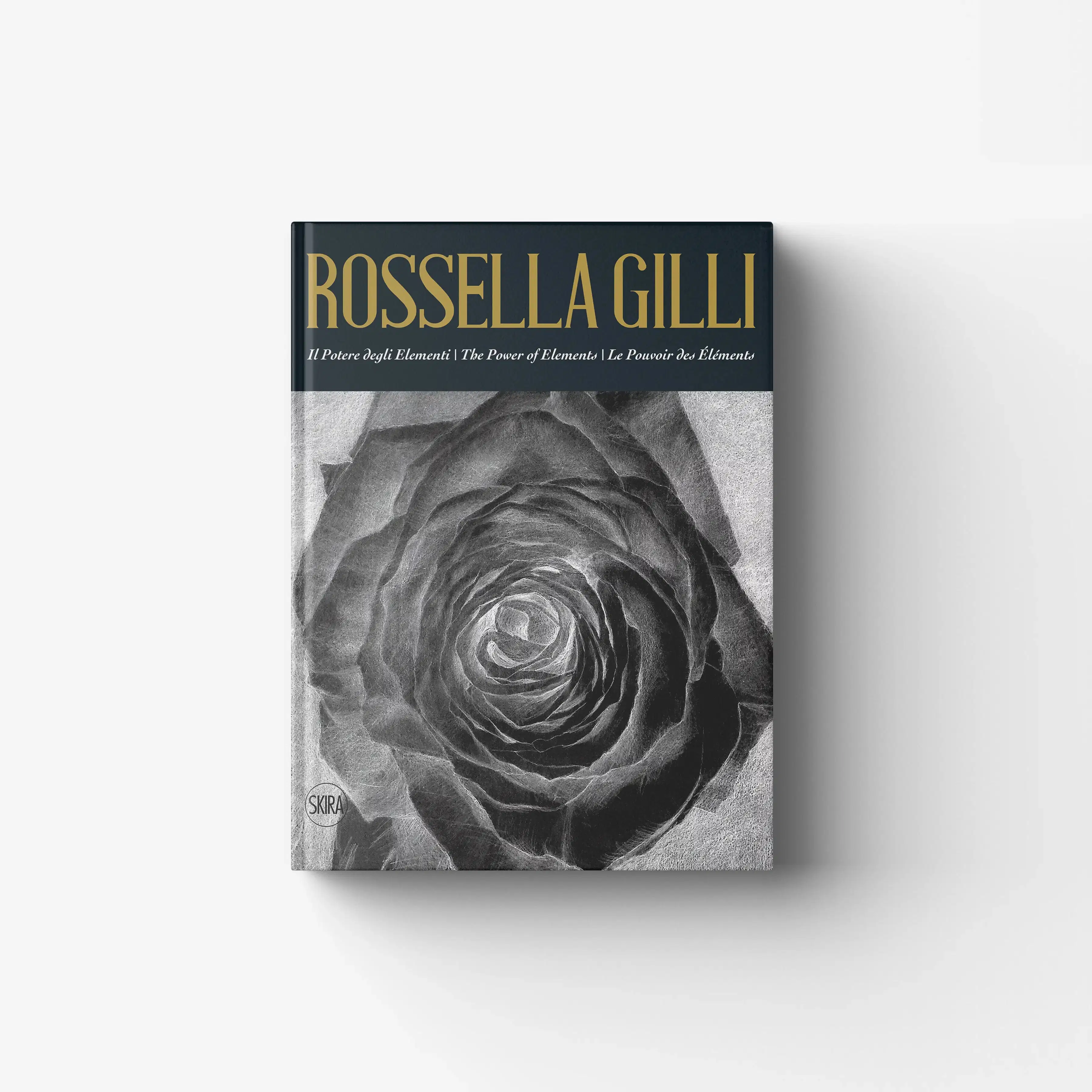Rossella Gilli. Il potere degli elementi