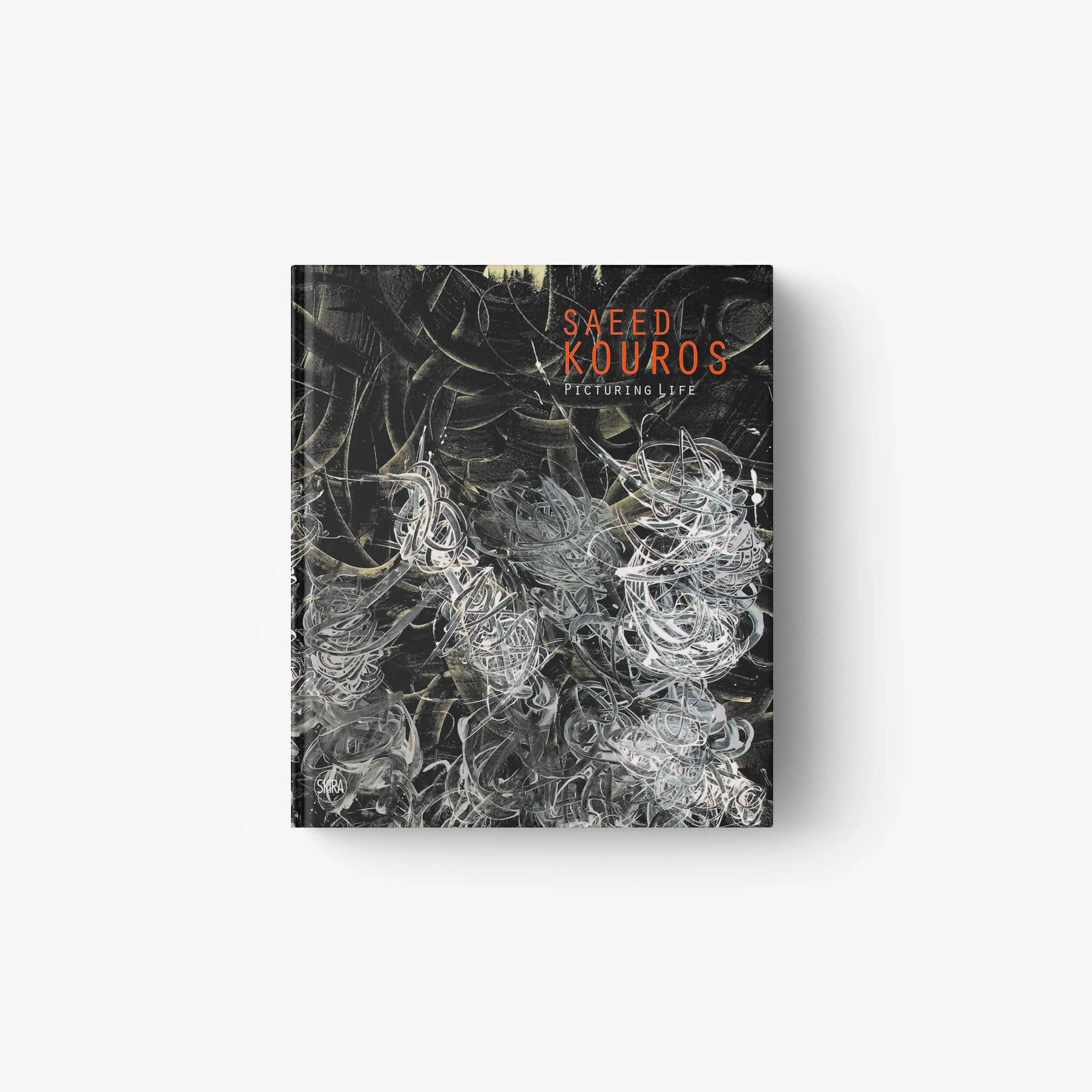 Saeed Kouros. Picturing Life
