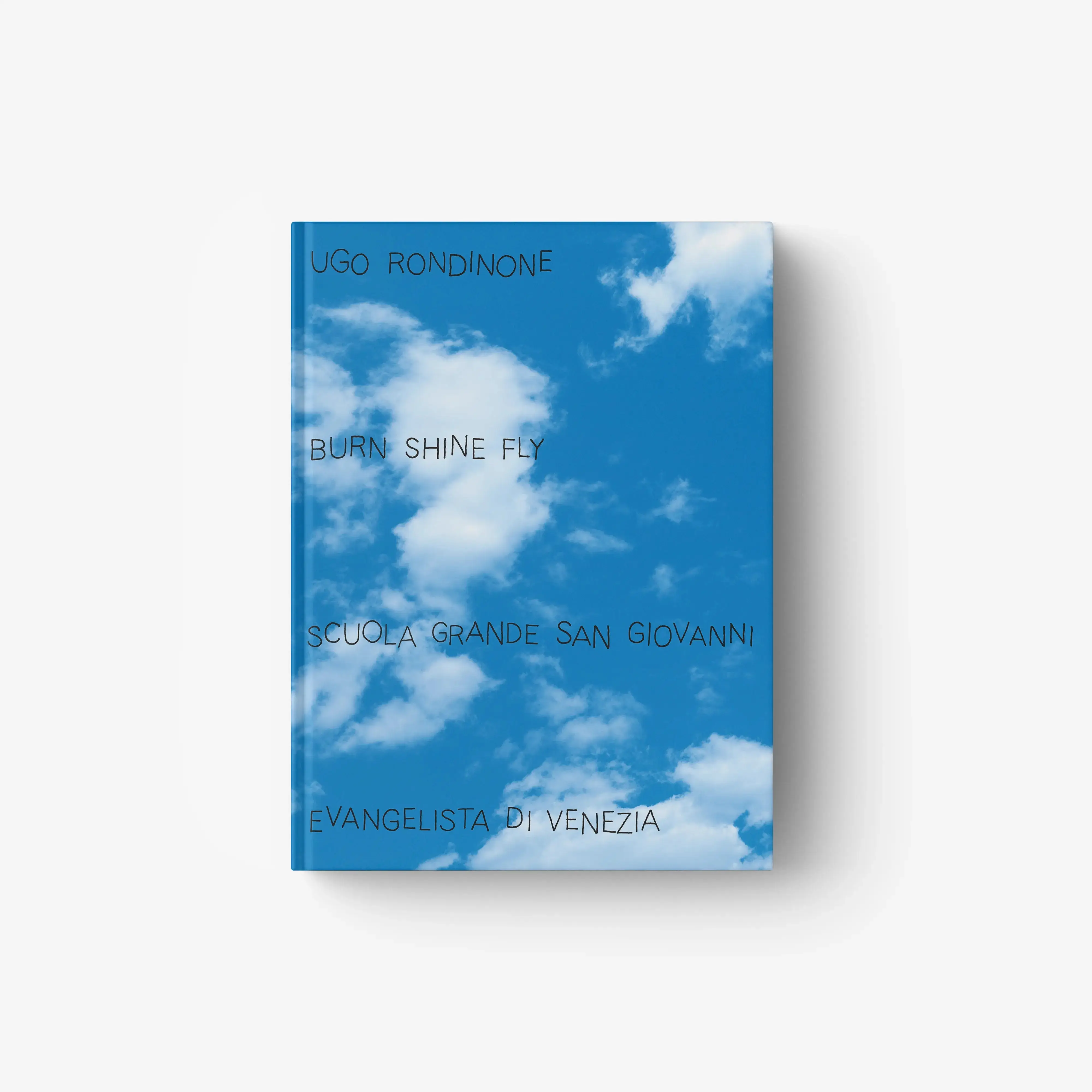 Ugo Rondinone. Burn Shine Fly