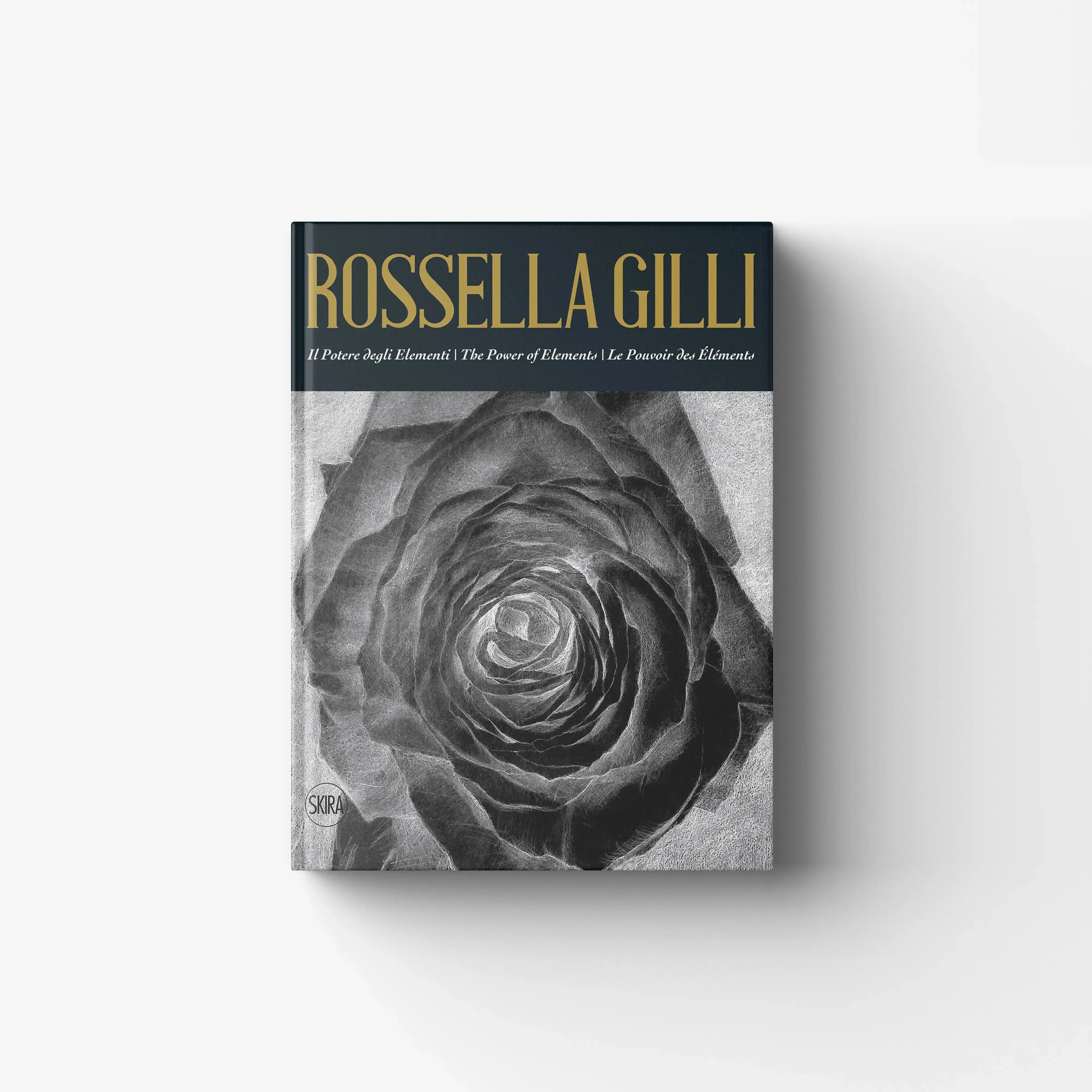 Rossella Gilli. Il potere degli elementi
